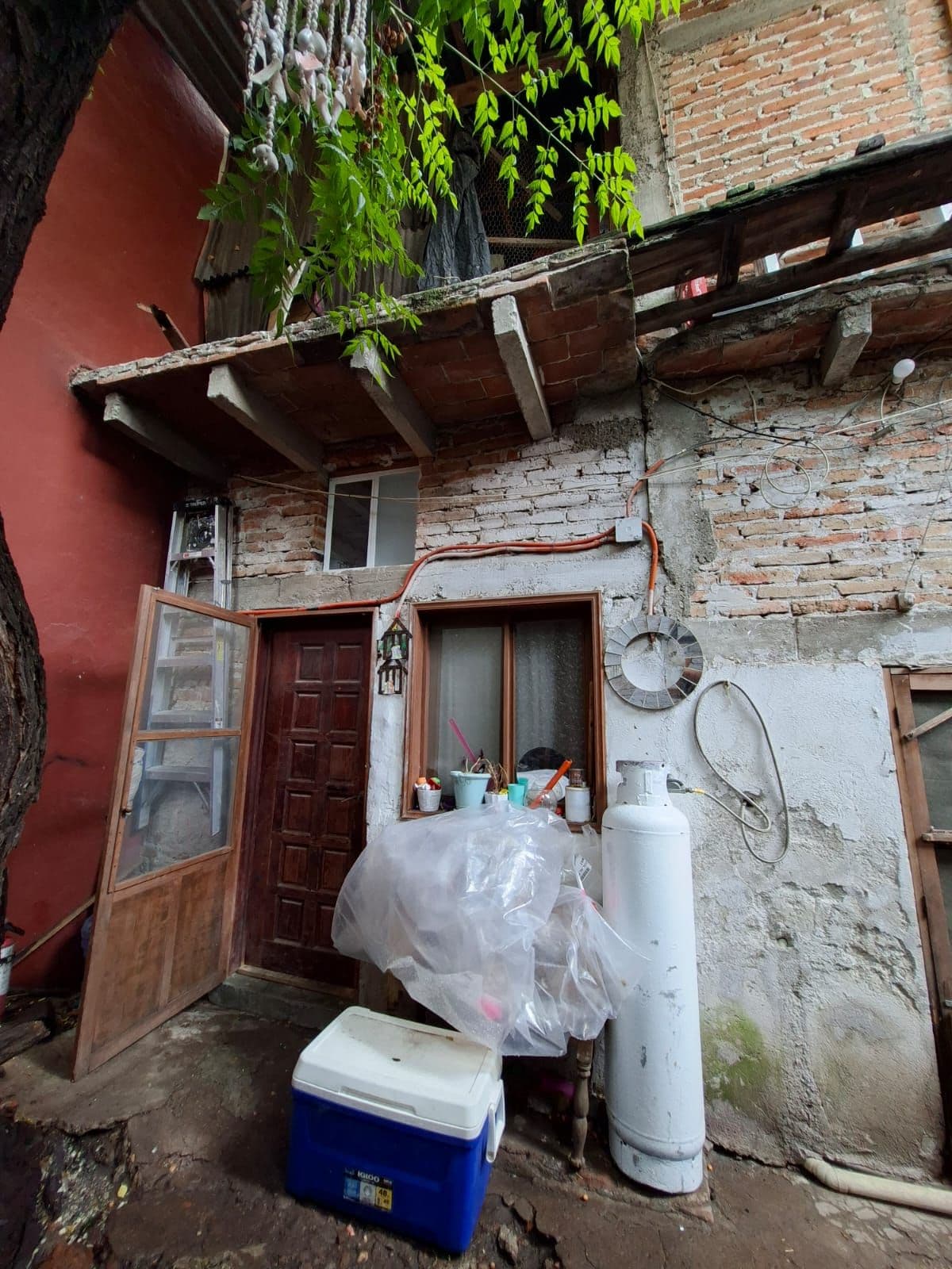 Terreno Árboles — Centro, San Miguel de Allende — photo 2 — charming courtyard with authentic character