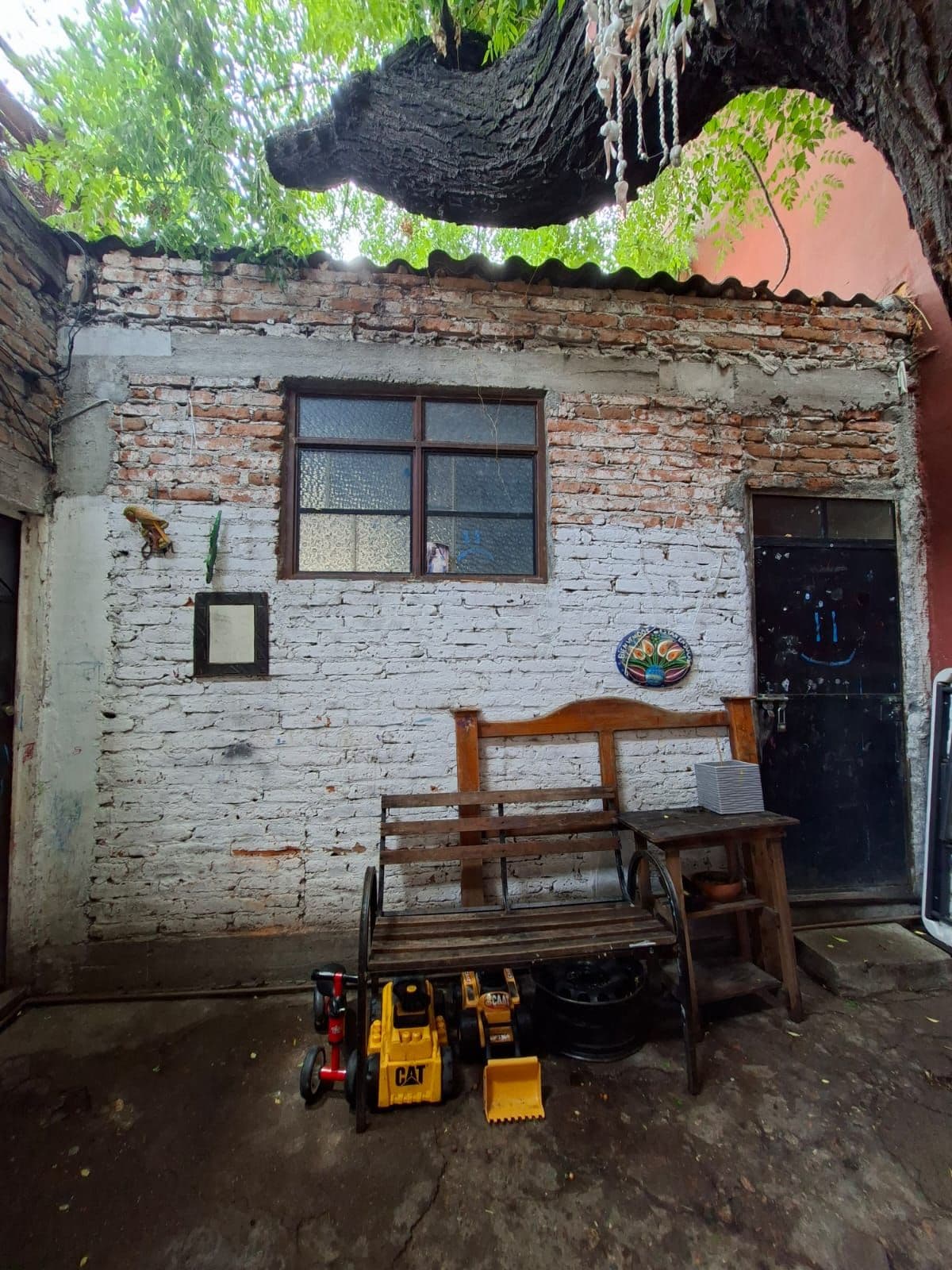 Terreno Árboles — Centro, San Miguel de Allende — photo 7 — charming rustic courtyard with mature canopy