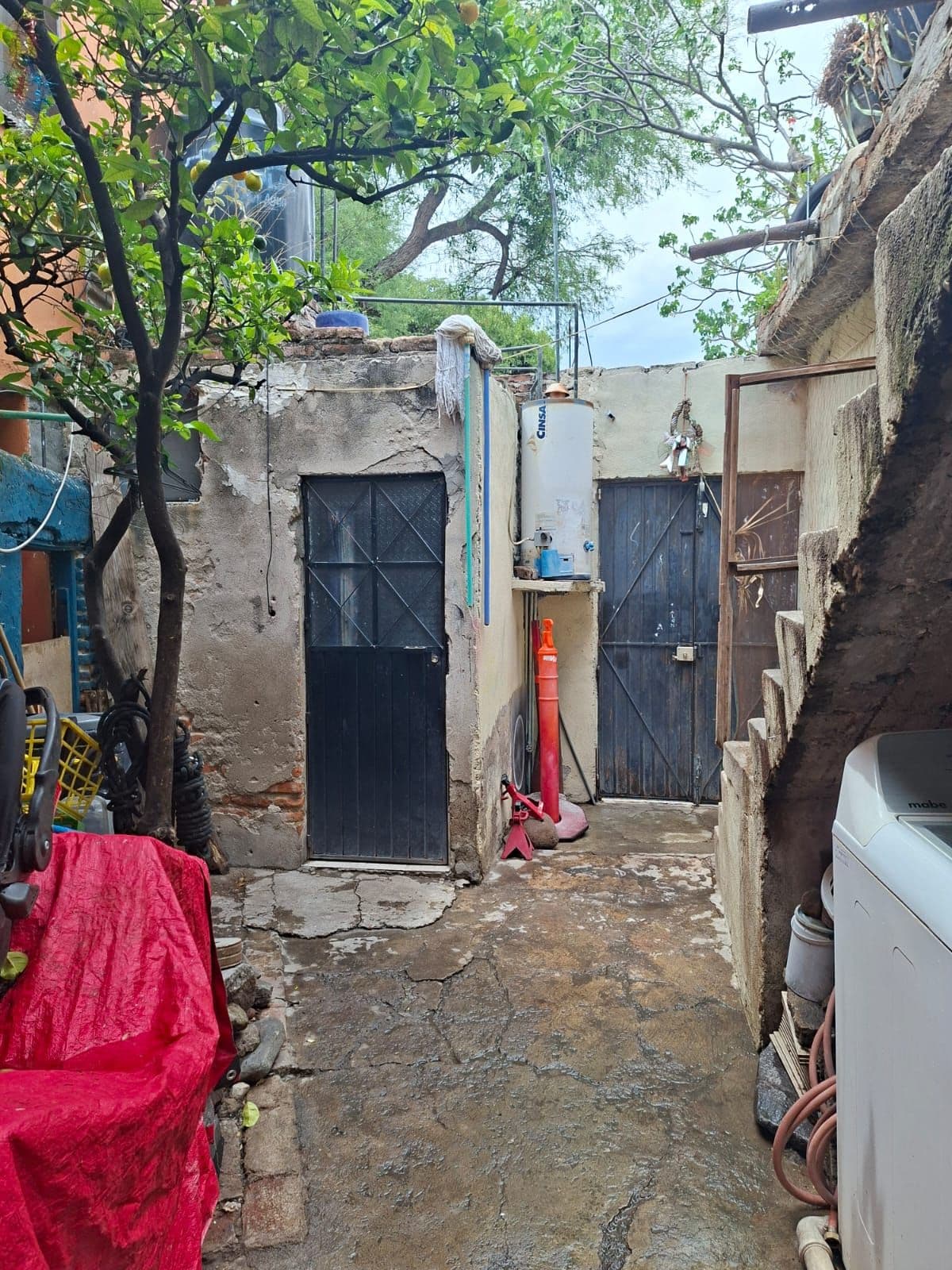 Terreno Árboles — Centro, San Miguel de Allende — photo 12 — charming courtyard with mature shade trees
