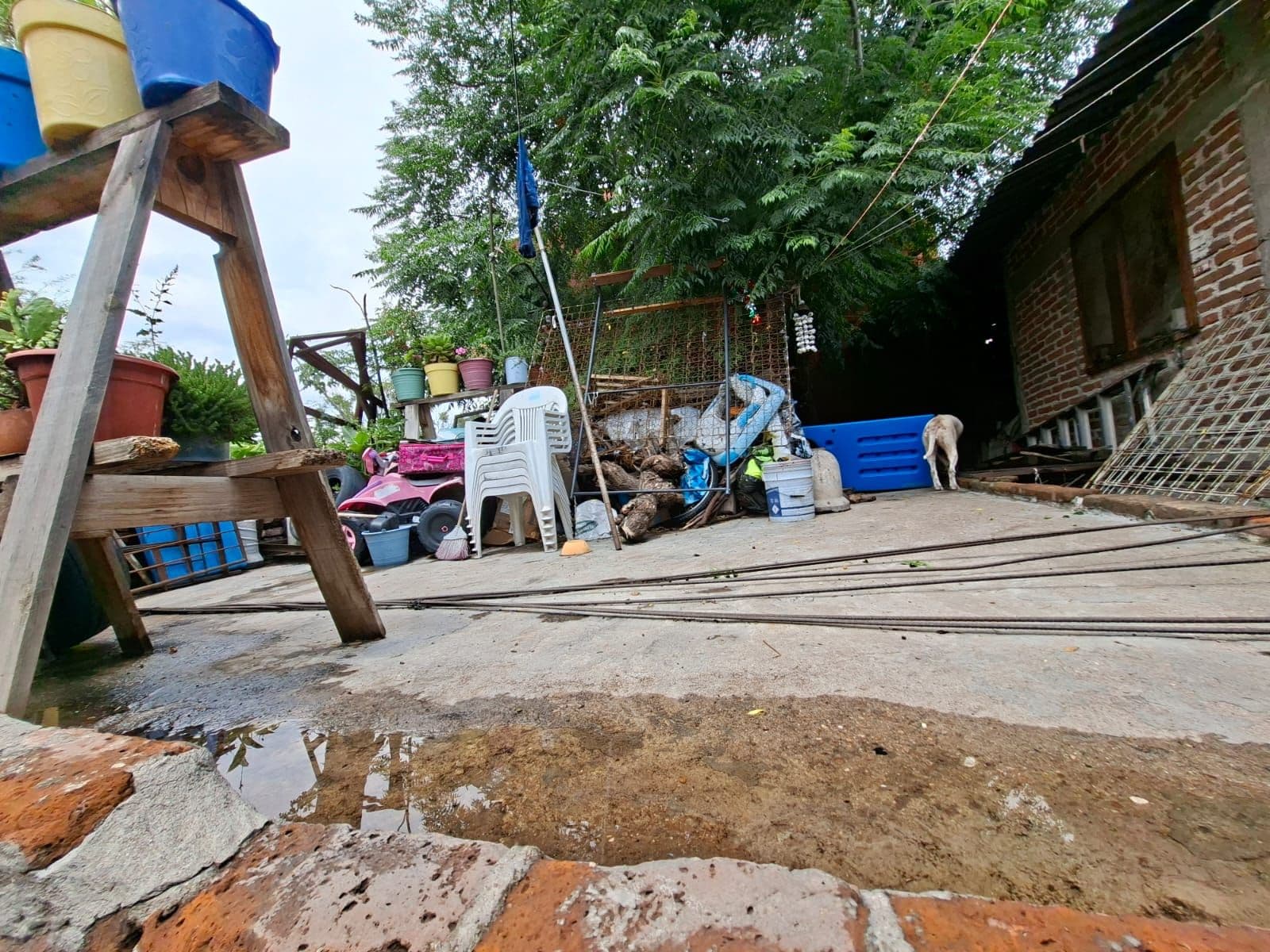 Terreno Árboles — Centro, San Miguel de Allende — photo 4 — rustic courtyard with development potential