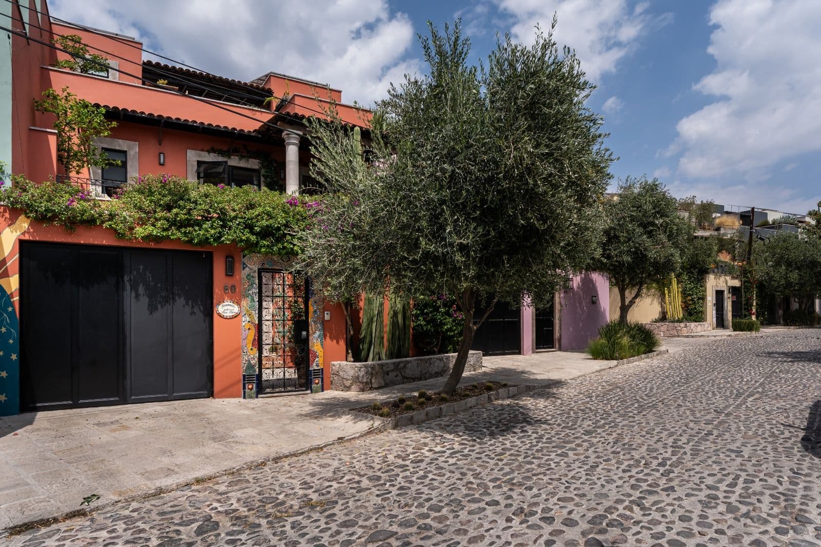 Casa Picaflores — Guadalupe, San Miguel de Allende — photo 3 — charming colonial courtyard, mature olive trees