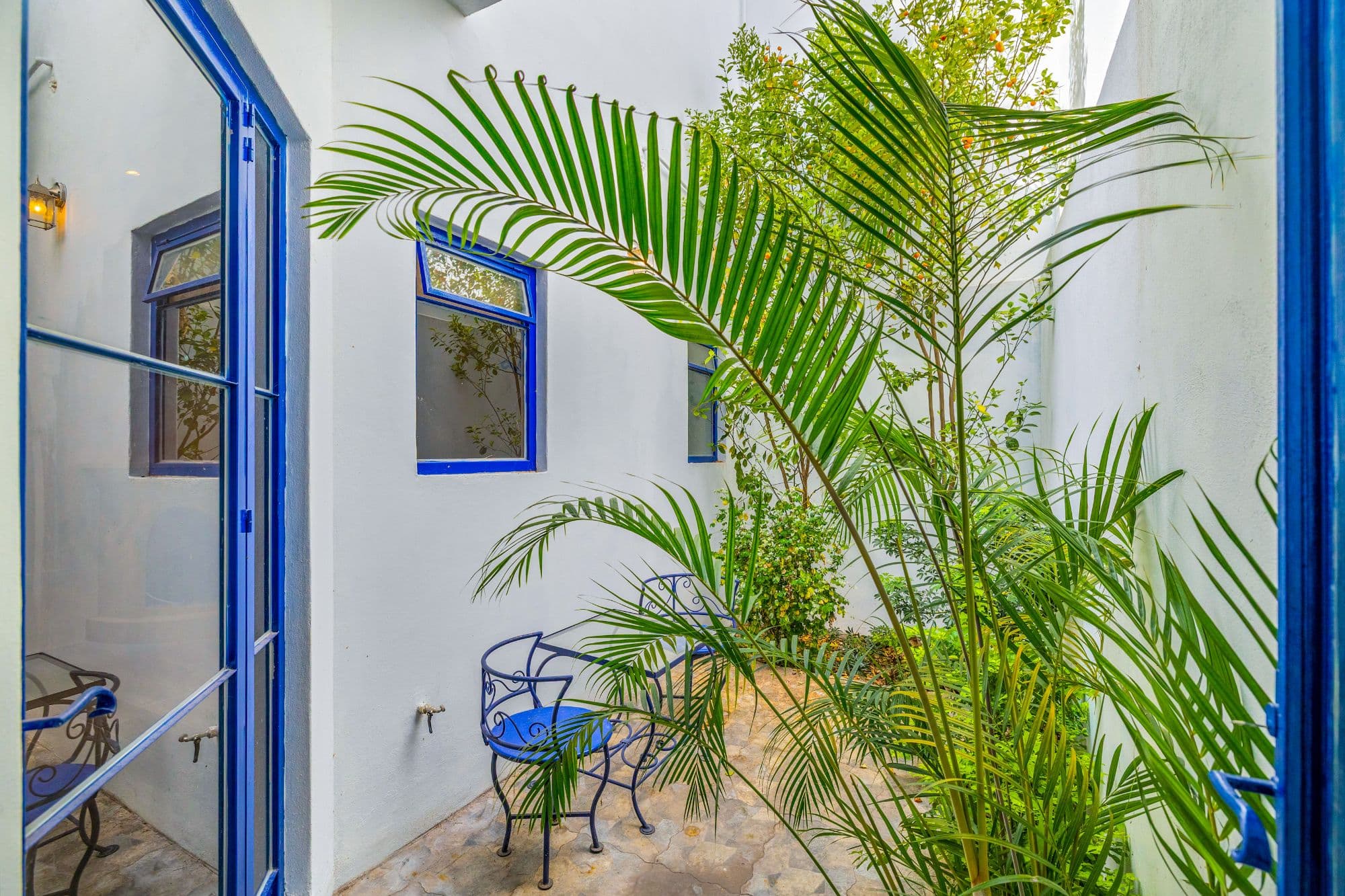 Casa del Agua — Atascadero (Arcos de San Miguel), San Miguel de Allende — photo 9 — serene courtyard with tropical greenery