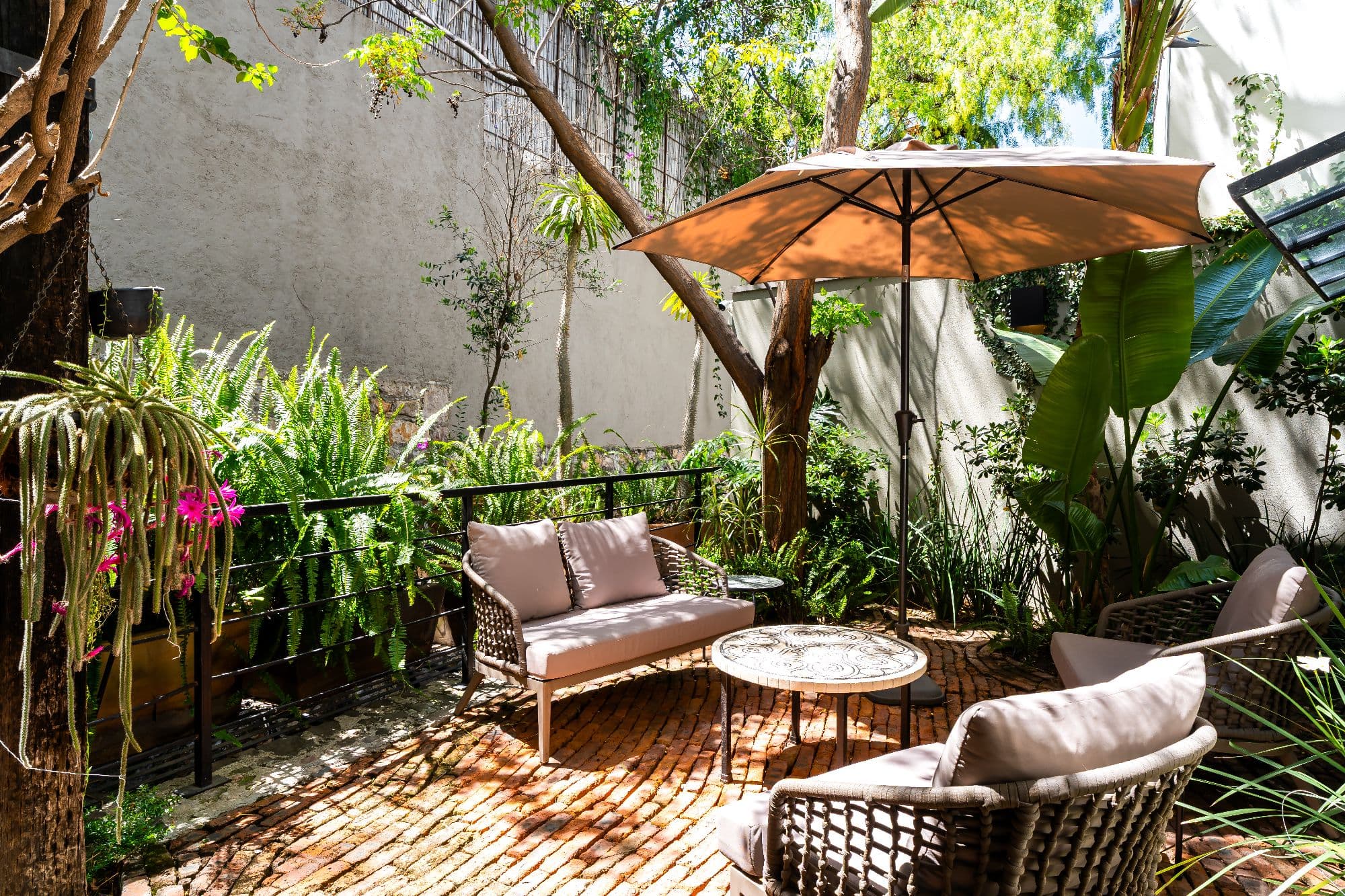 Casa Organza — Centro, San Miguel de Allende — photo 19 — serene courtyard oasis, dappled shade