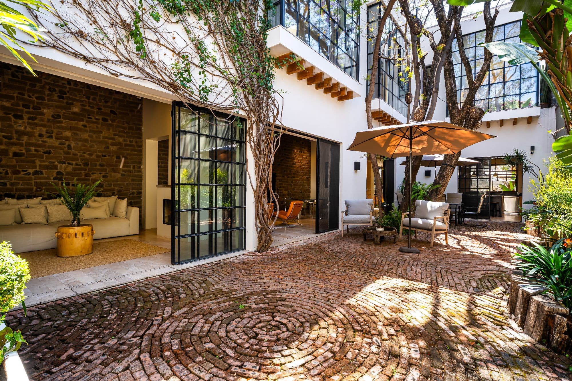 Casa Organza — Centro, San Miguel de Allende — photo 15 — enchanting courtyard, dappled shade, mature trees