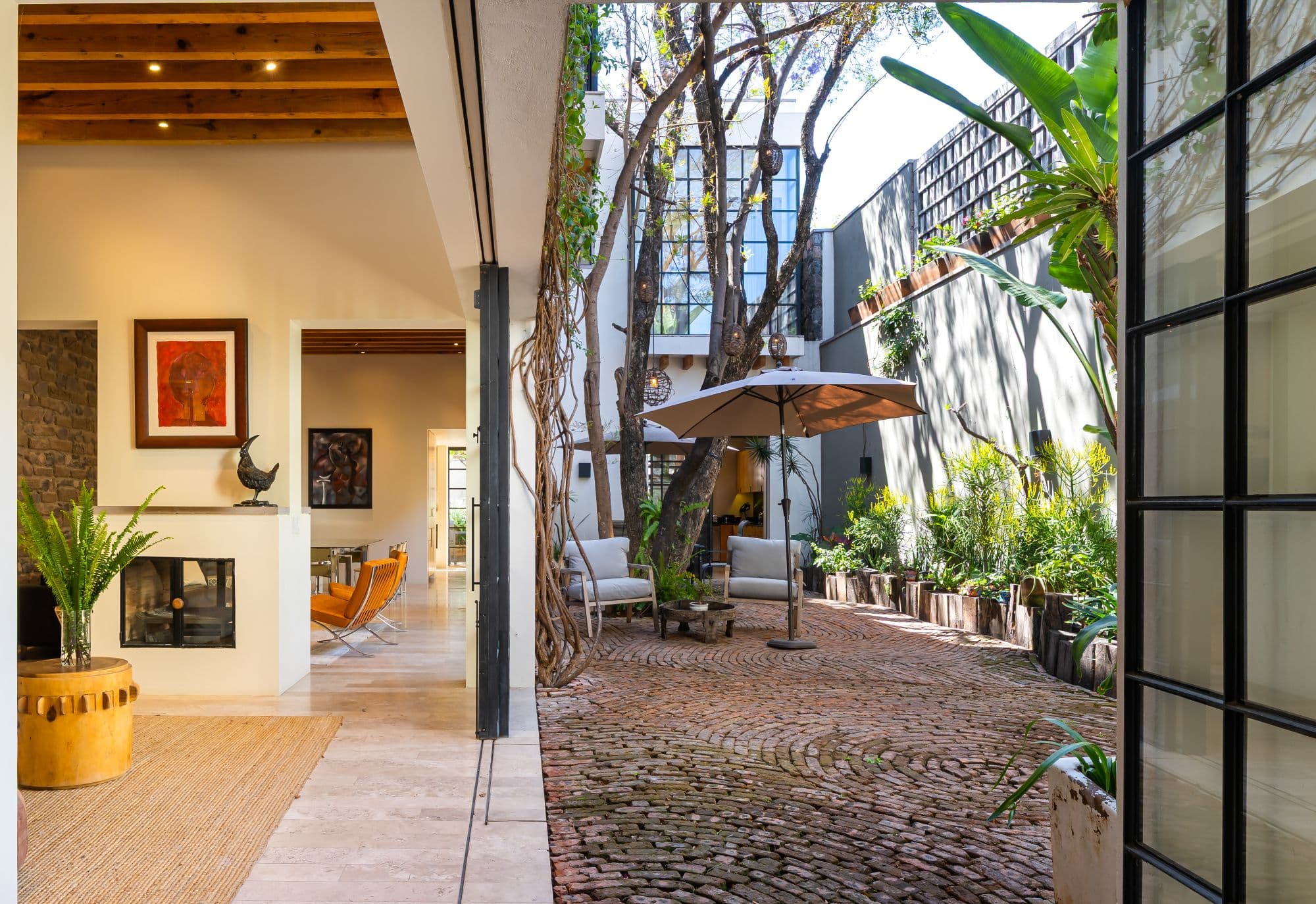 Casa Organza — Centro, San Miguel de Allende — photo 4 — serene courtyard oasis, mature trees, architectural grace