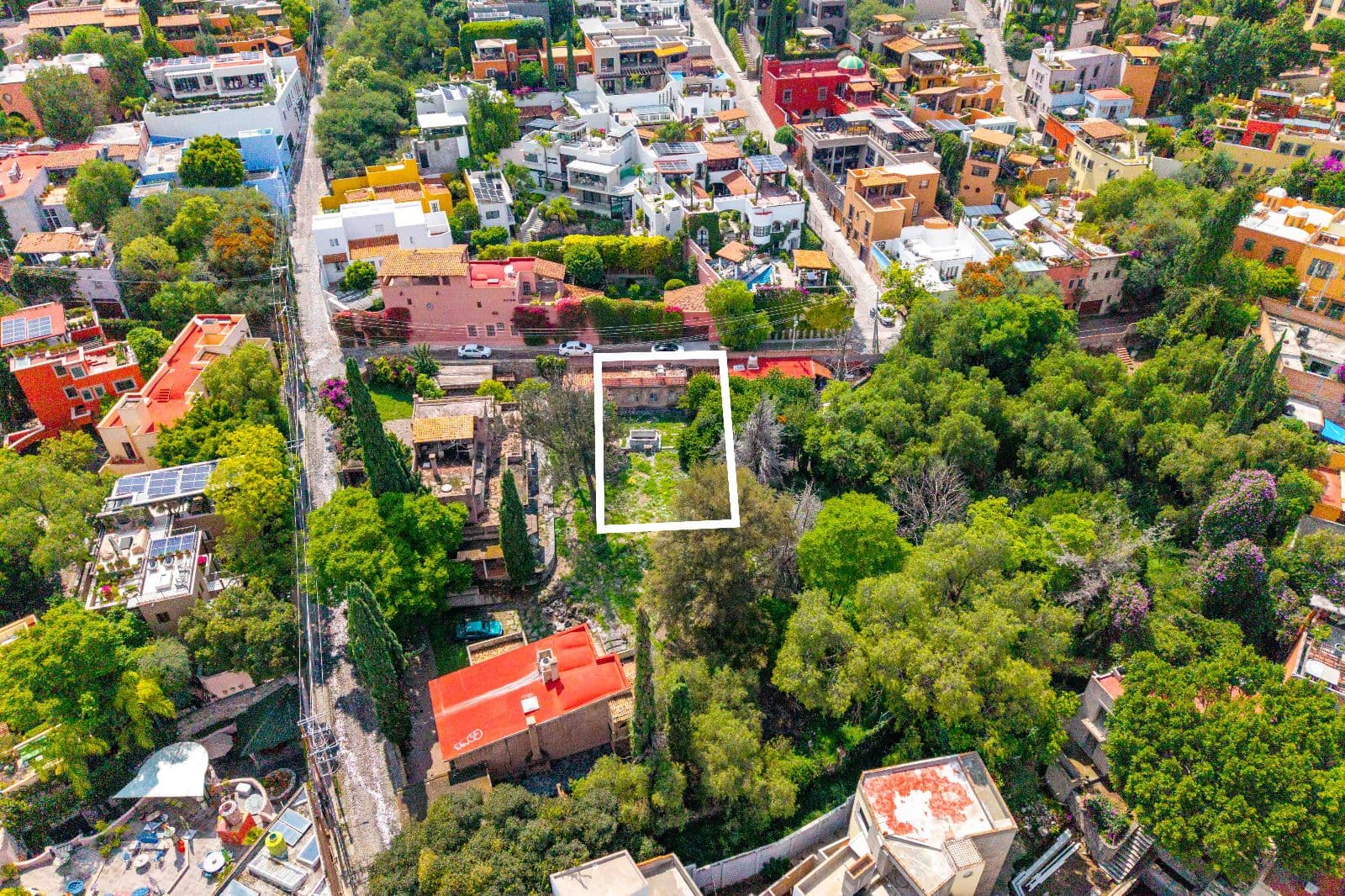 Fraccion III Ojo de Agua — Ojo de Agua, San Miguel de Allende — photo 9 — verdant oasis with development potential