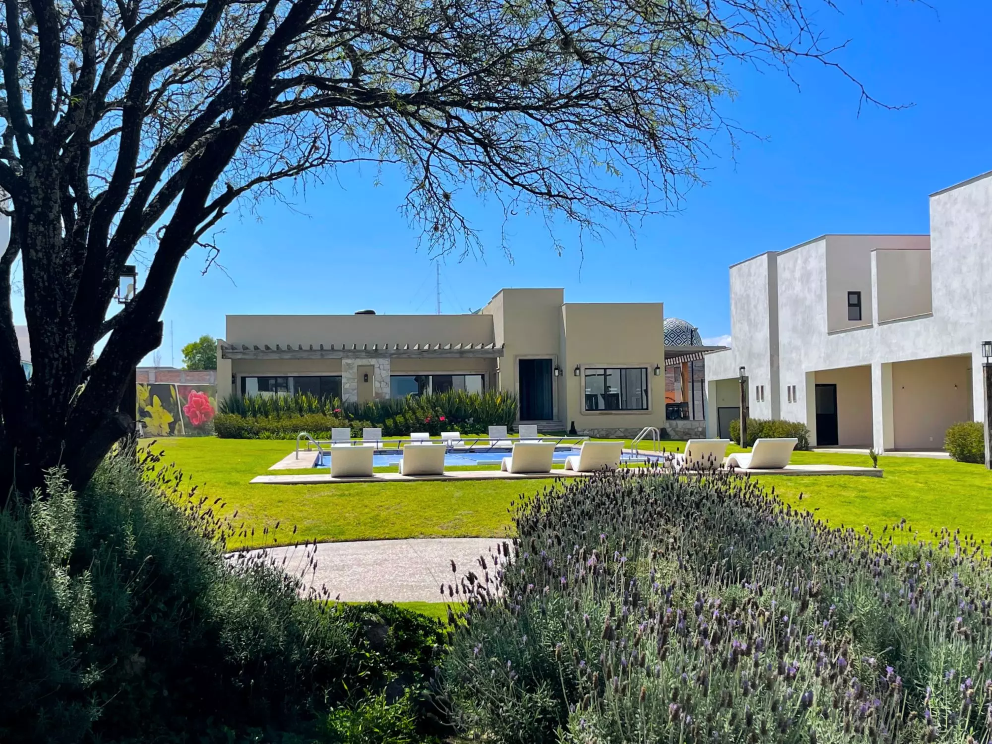 Casa Torreón PB — Atascadero (Arcos de San Miguel), San Miguel de Allende — photo 7 — serene contemporary estate, manicured gardens