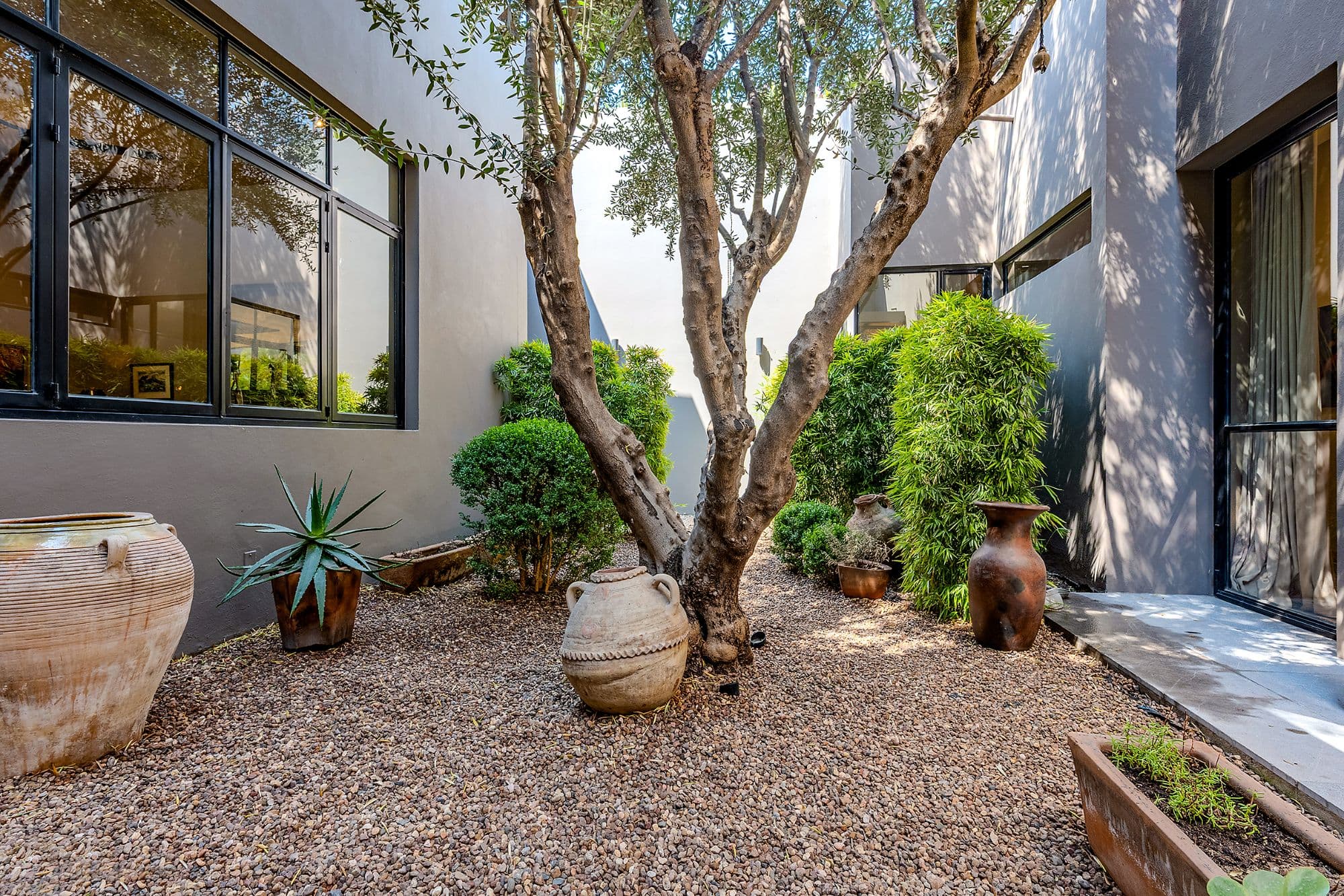 Casa Pirules — Centro, San Miguel de Allende — photo 24 — serene courtyard with mature shade trees