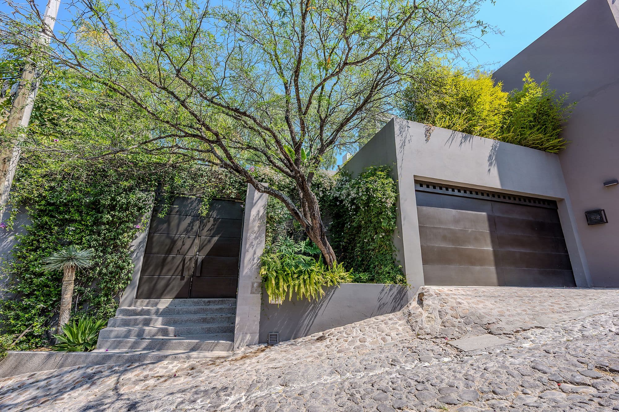 Casa Pirules — Centro, San Miguel de Allende — photo 18 — verdant courtyard, architectural sophistication