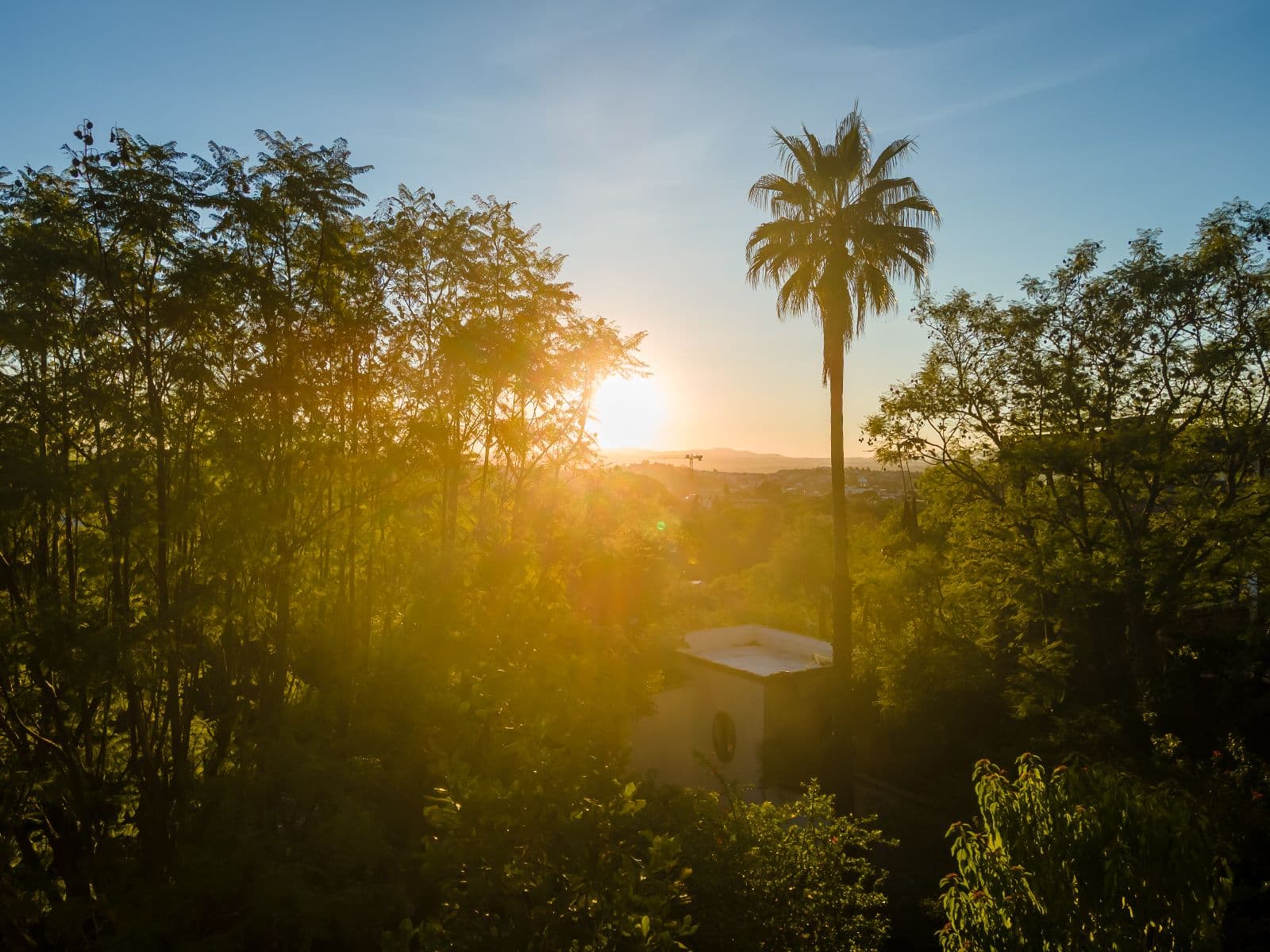 Casa Shangri-La — Centro, San Miguel de Allende — photo 24 — golden sunset, mature lush gardens