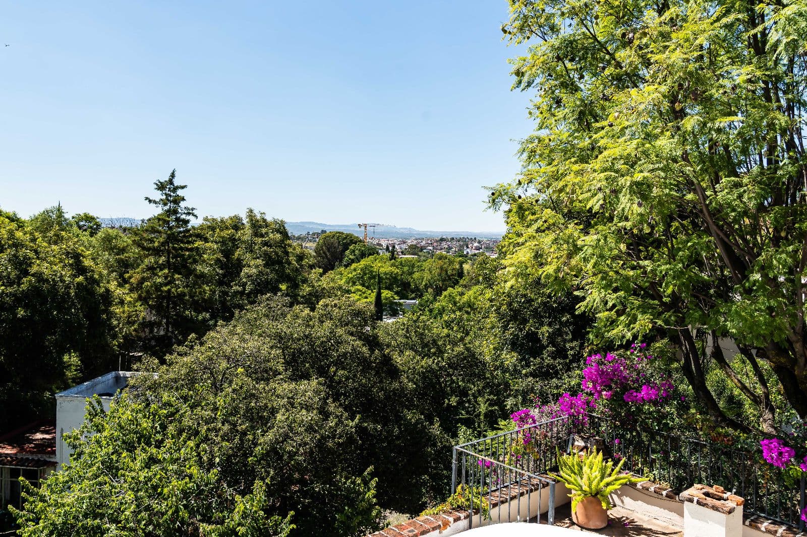 Casa Shangri-La — Centro, San Miguel de Allende — photo 23 — panoramic city views, lush garden sanctuary