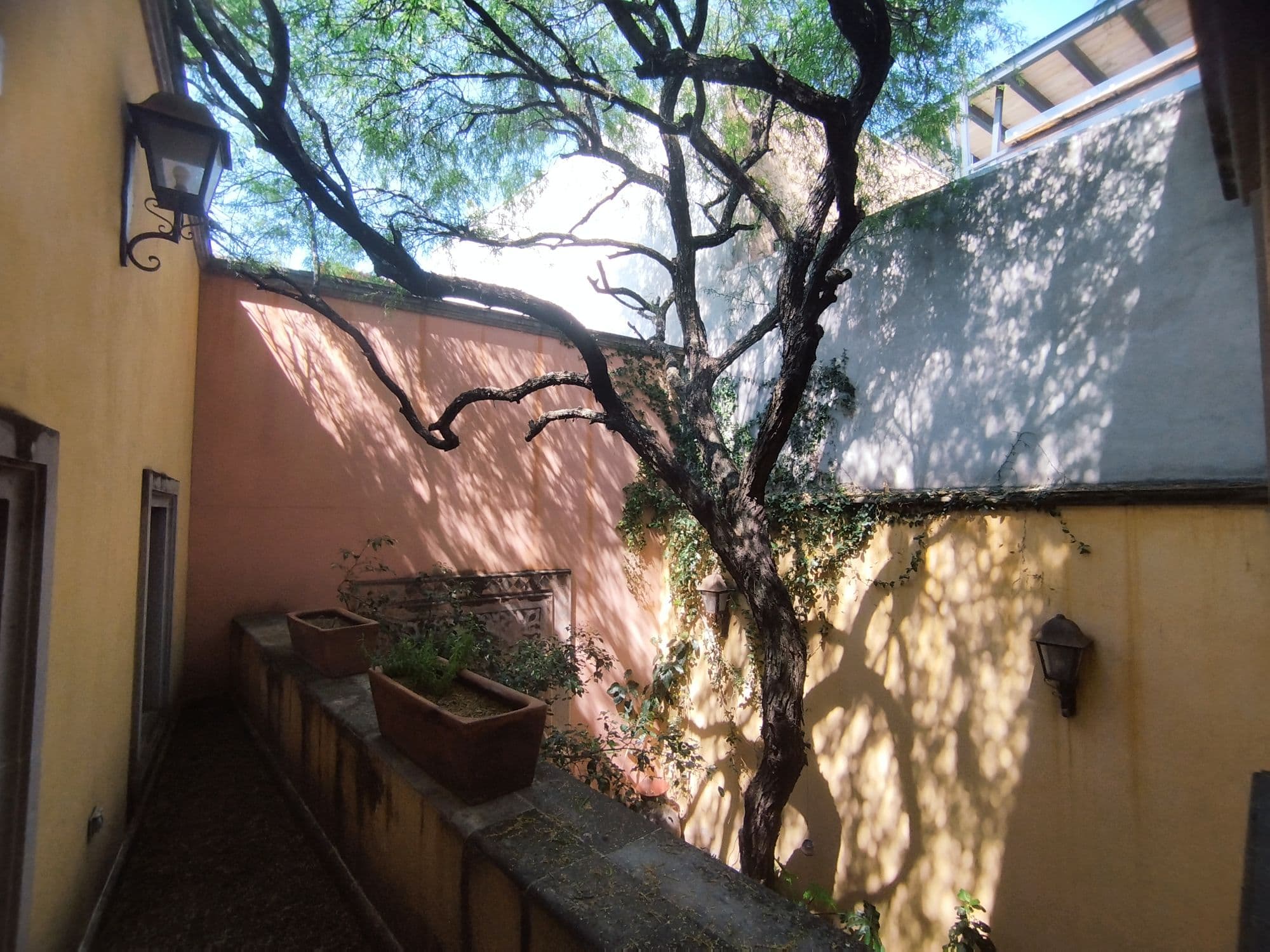 Casa Garza — San Miguel de Allende Centro, San Miguel de Allende — photo 3 — charming courtyard, dappled shade, authentic character