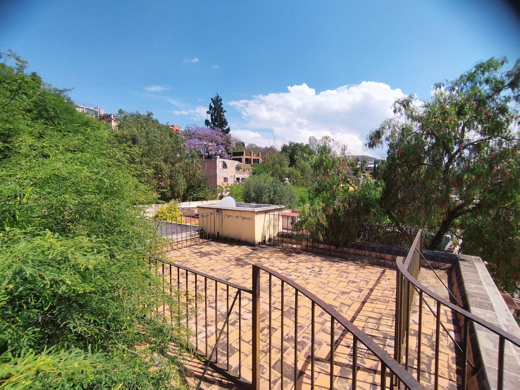 Casa Garza — San Miguel de Allende Centro, San Miguel de Allende — photo 8 — expansive terrace with verdant surroundings