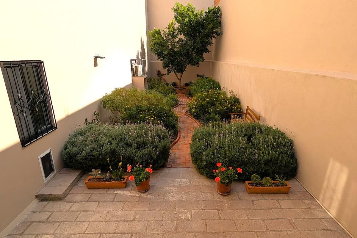 1959 Orizaba 112 — San Antonio, San Miguel de Allende — photo 16 — charming mediterranean courtyard, sun-drenched