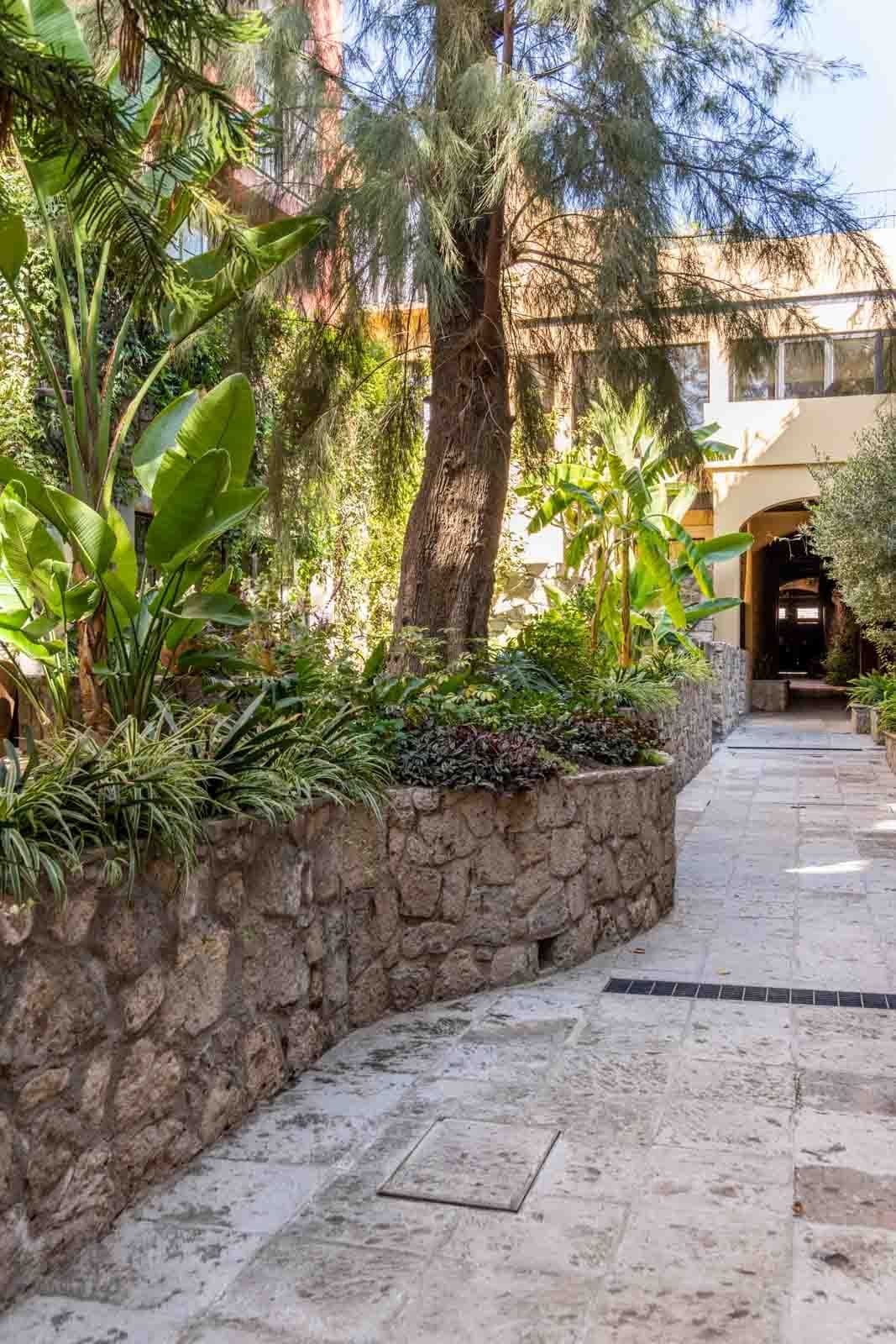 Casa Sol — Centro, San Miguel de Allende — photo 21 — lush tropical courtyard, timeless architecture