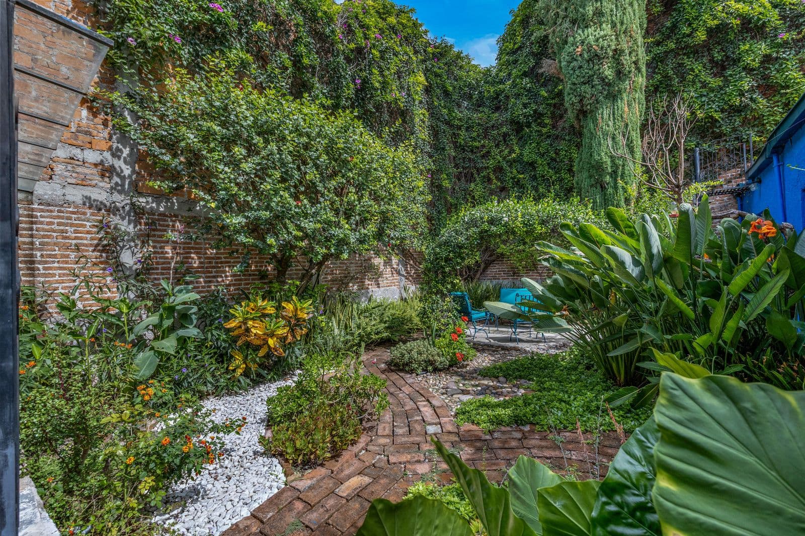 Casa Adelaida — San Antonio, San Miguel de Allende — photo 13 — lush, ivy-draped courtyard oasis