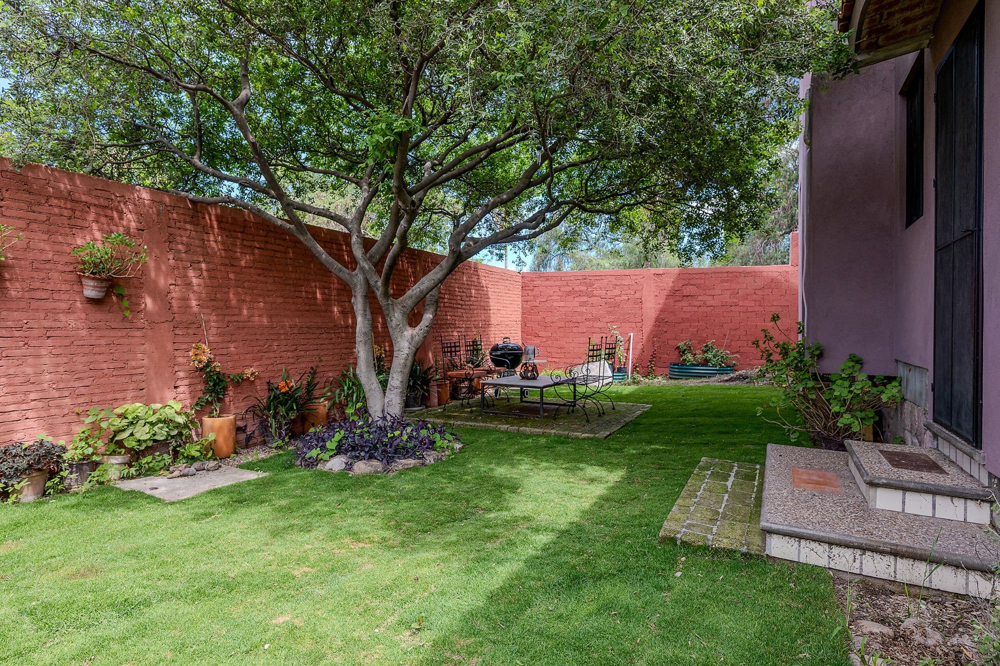 Casa Malva — Valle del Maíz, San Miguel de Allende — photo 6 — serene courtyard, mature shade tree, verdant sanctuary