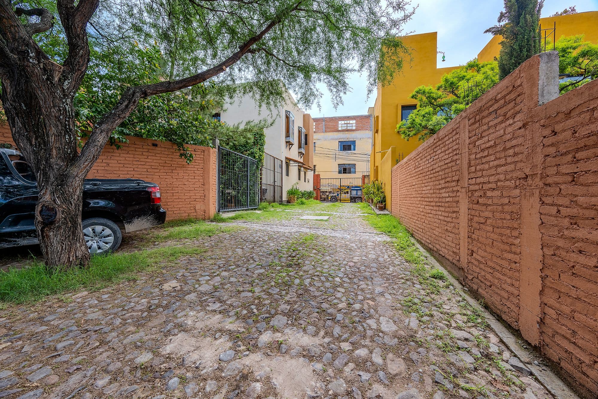 Casa Malva — Valle del Maíz, San Miguel de Allende — photo 20 — charming courtyard with mature shade trees