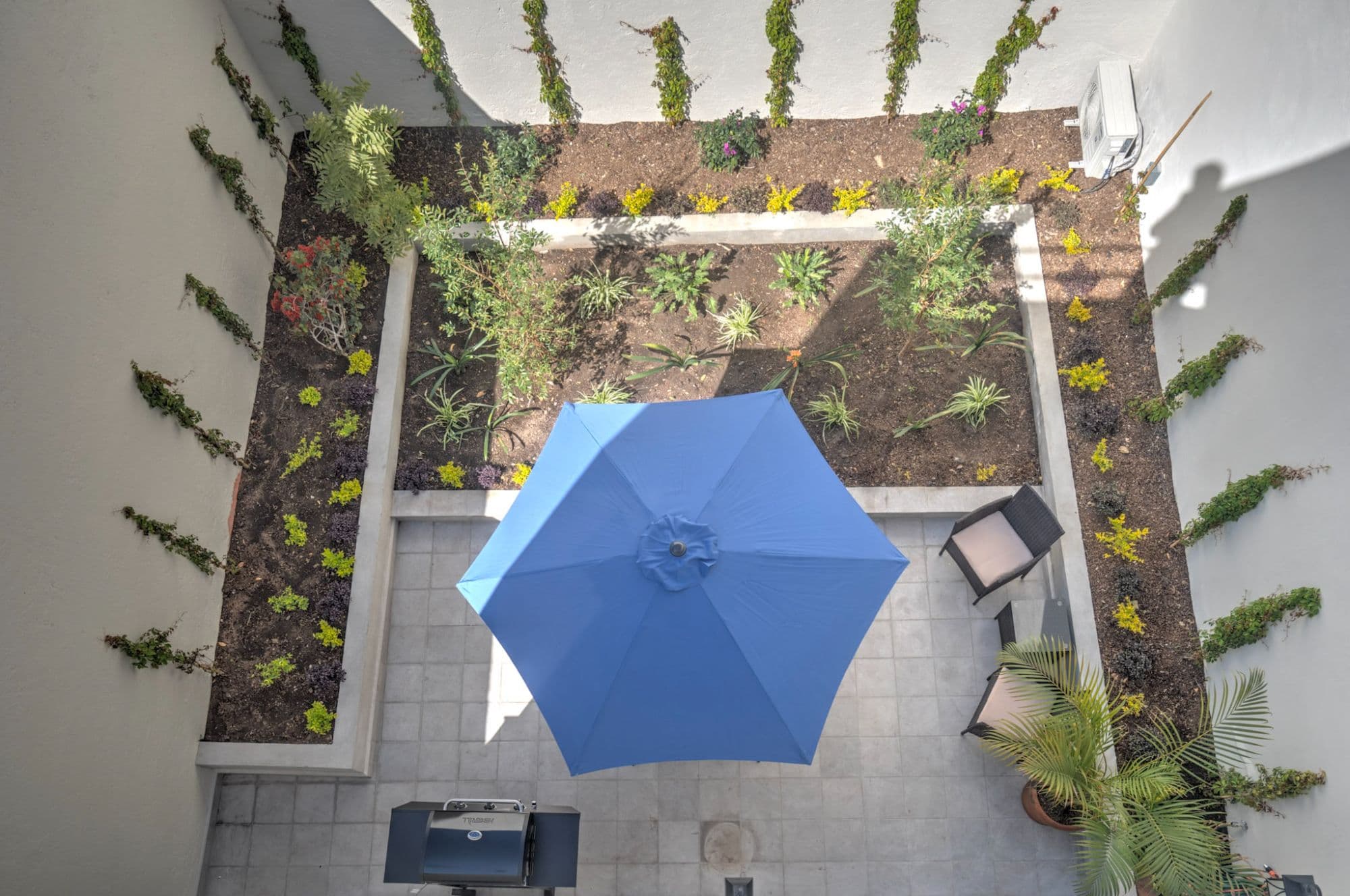 Casa Refugio Sur # 20A — San Antonio, San Miguel de Allende — photo 12 — serene courtyard oasis, verdant sanctuary