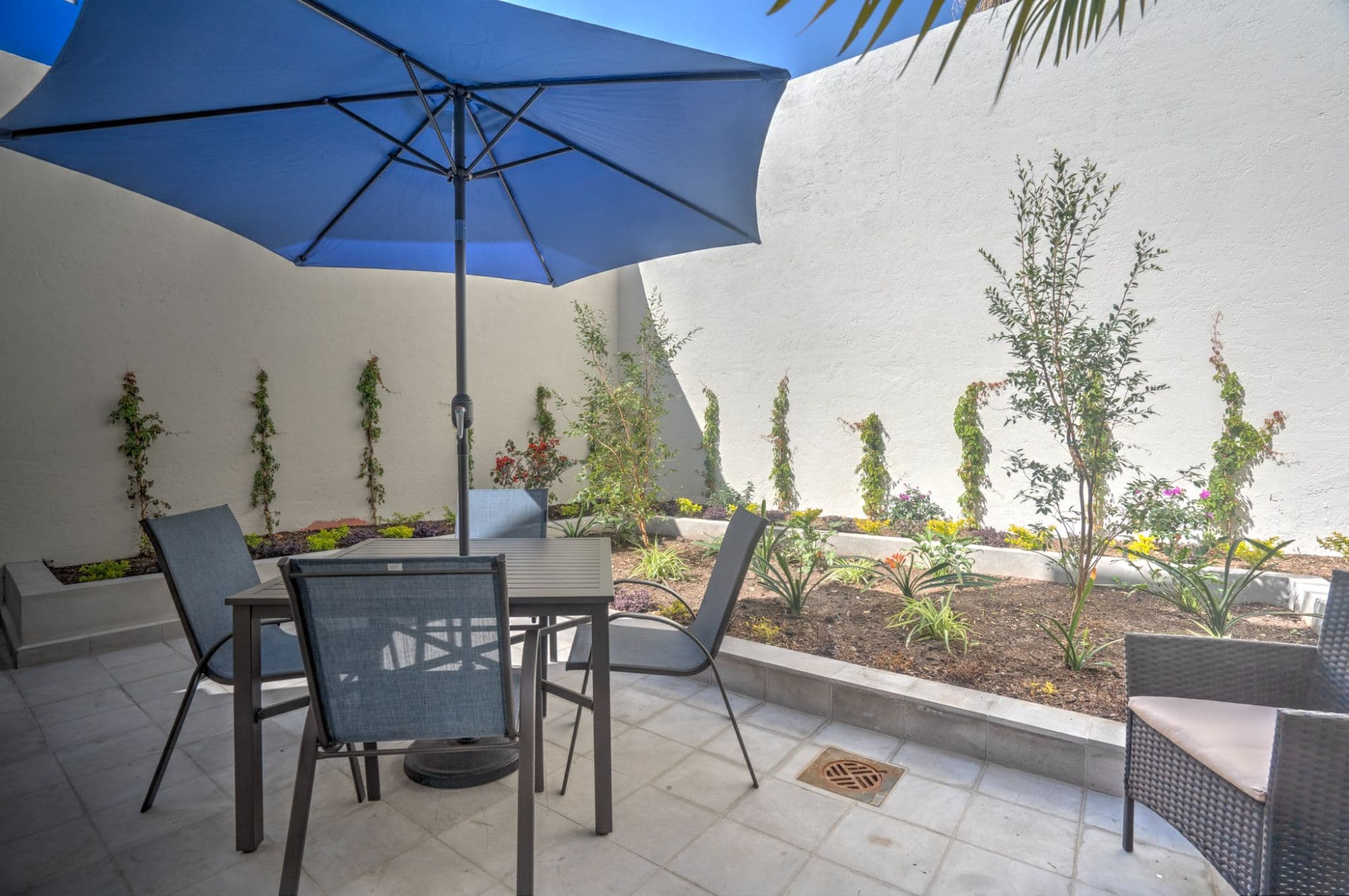 Casa Refugio Sur # 20A — San Antonio, San Miguel de Allende — photo 9 — serene courtyard with verdant landscape