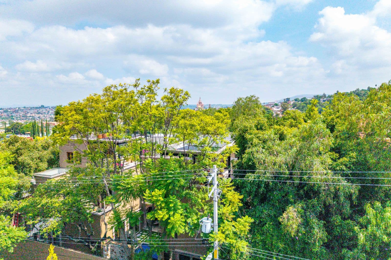 Lote Esquina — Guadiana, San Miguel de Allende — photo 10 — lush hillside views, mature garden sanctuary