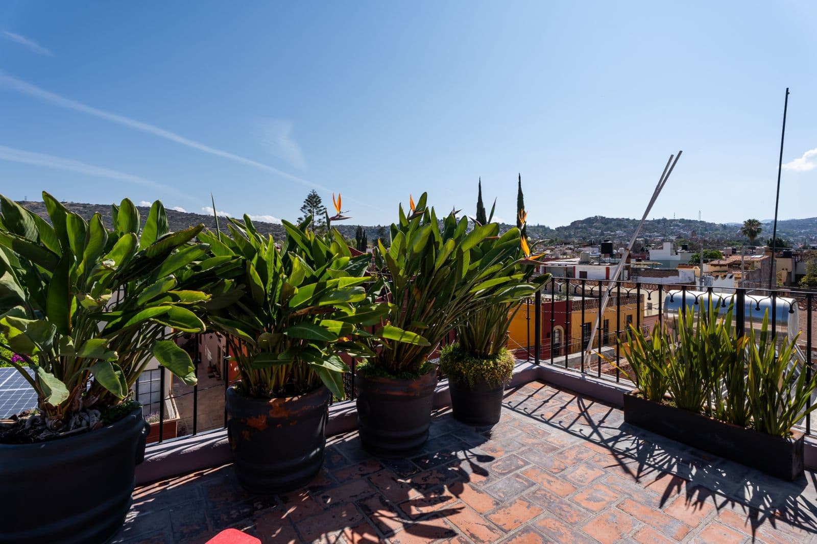 Casa Bruno — Guadalupe, San Miguel de Allende — photo 25 — sunlit rooftop terrace, panoramic city views