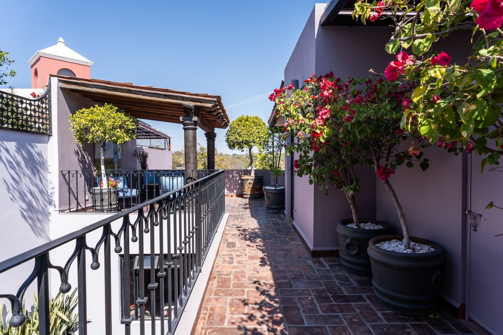 Casa Bruno — Guadalupe, San Miguel de Allende — photo 21 — charming terrace with vibrant bougainvillea