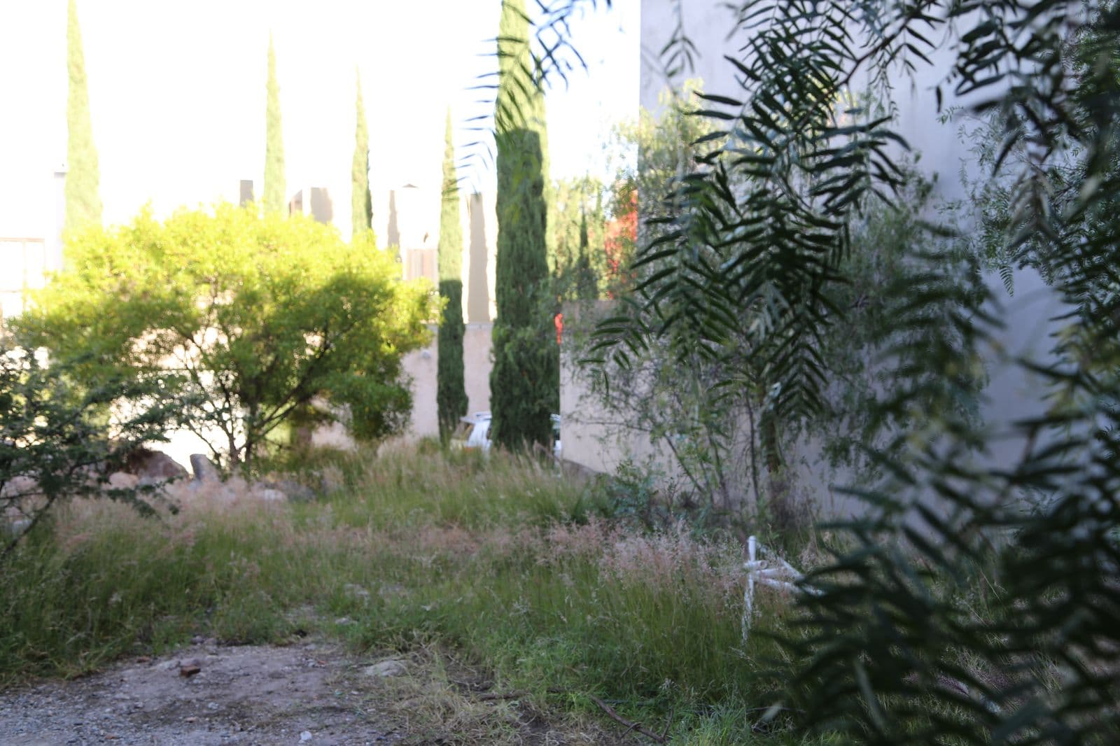 Lote San Gamliel 54 — El Paraiso, San Miguel de Allende — photo 5 — sun-drenched mediterranean garden sanctuary