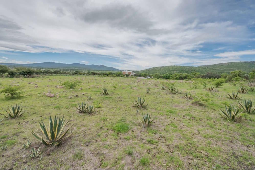 Lot "Ikigai" — Sosnabar, San Miguel de Allende — photo 6 — expansive grounds with mountain vistas
