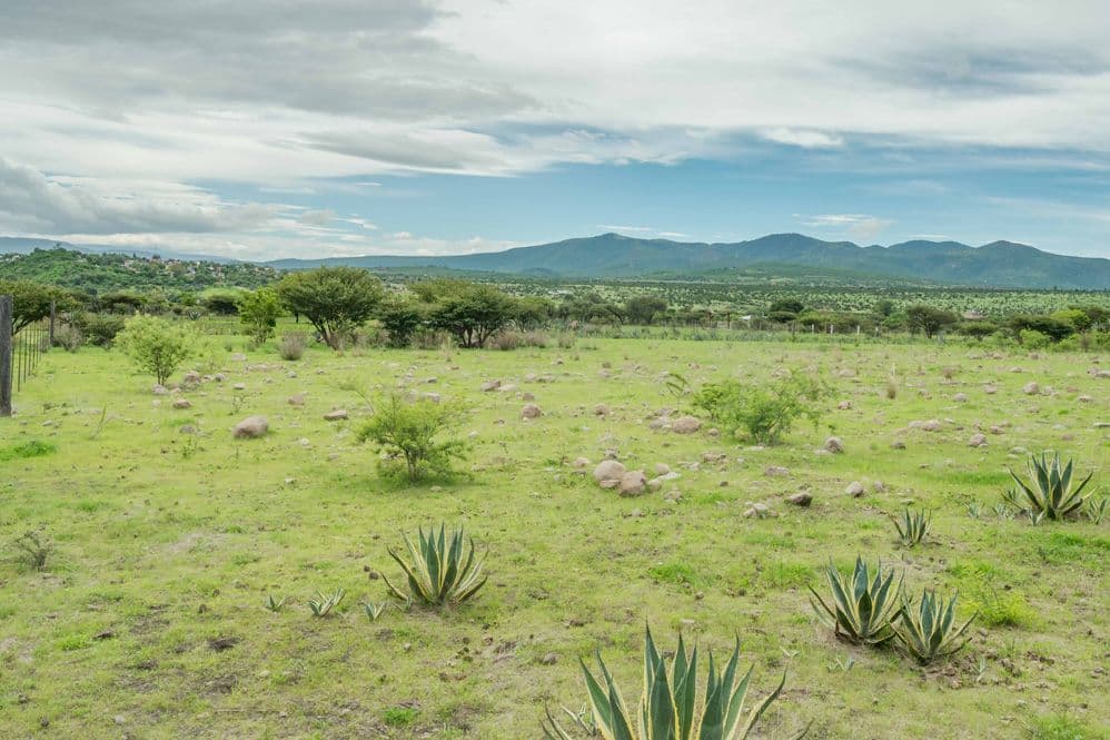 Lot "Ikigai" — Sosnabar, San Miguel de Allende — photo 7 — sprawling countryside estate with mountain views