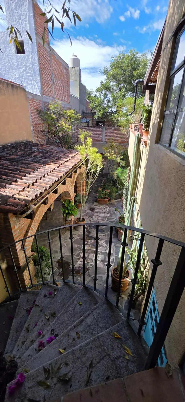 Casa Farolito — Guadalupe, San Miguel de Allende — photo 24 — charming courtyard with colonial architecture
