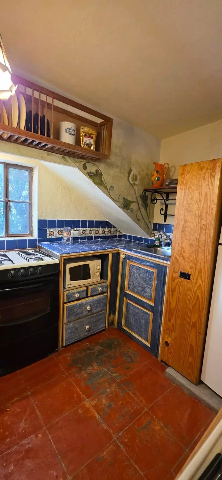 Casa Farolito — Guadalupe, San Miguel de Allende — photo 14 — charming traditional mexican kitchen details