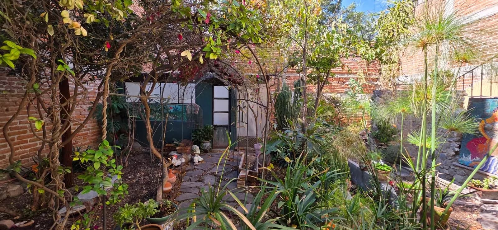 Casa Farolito — Guadalupe, San Miguel de Allende — photo 20 — lush courtyard oasis, mature botanical garden
