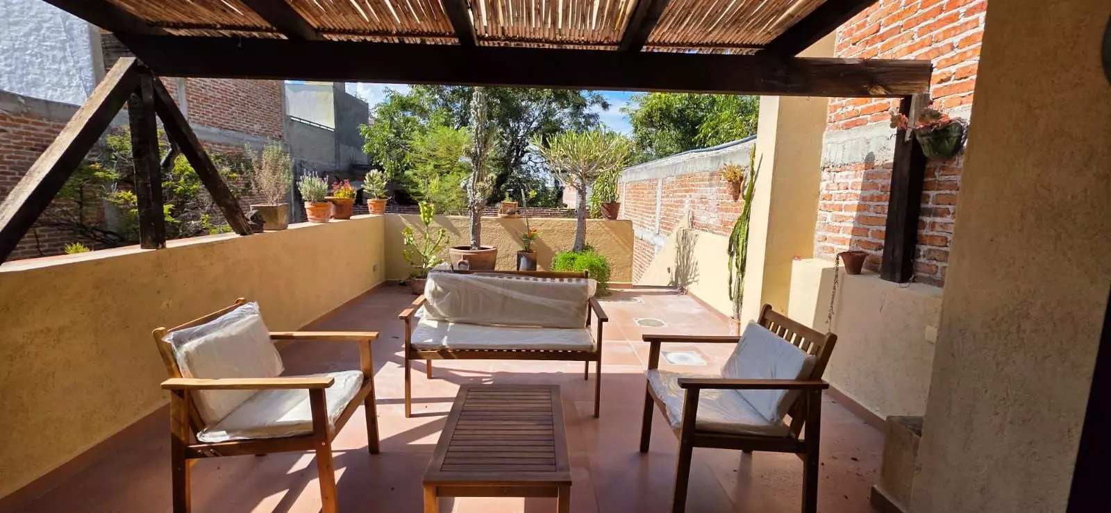 Casa Farolito — Guadalupe, San Miguel de Allende — photo 17 — sun-drenched terrace with mature gardens