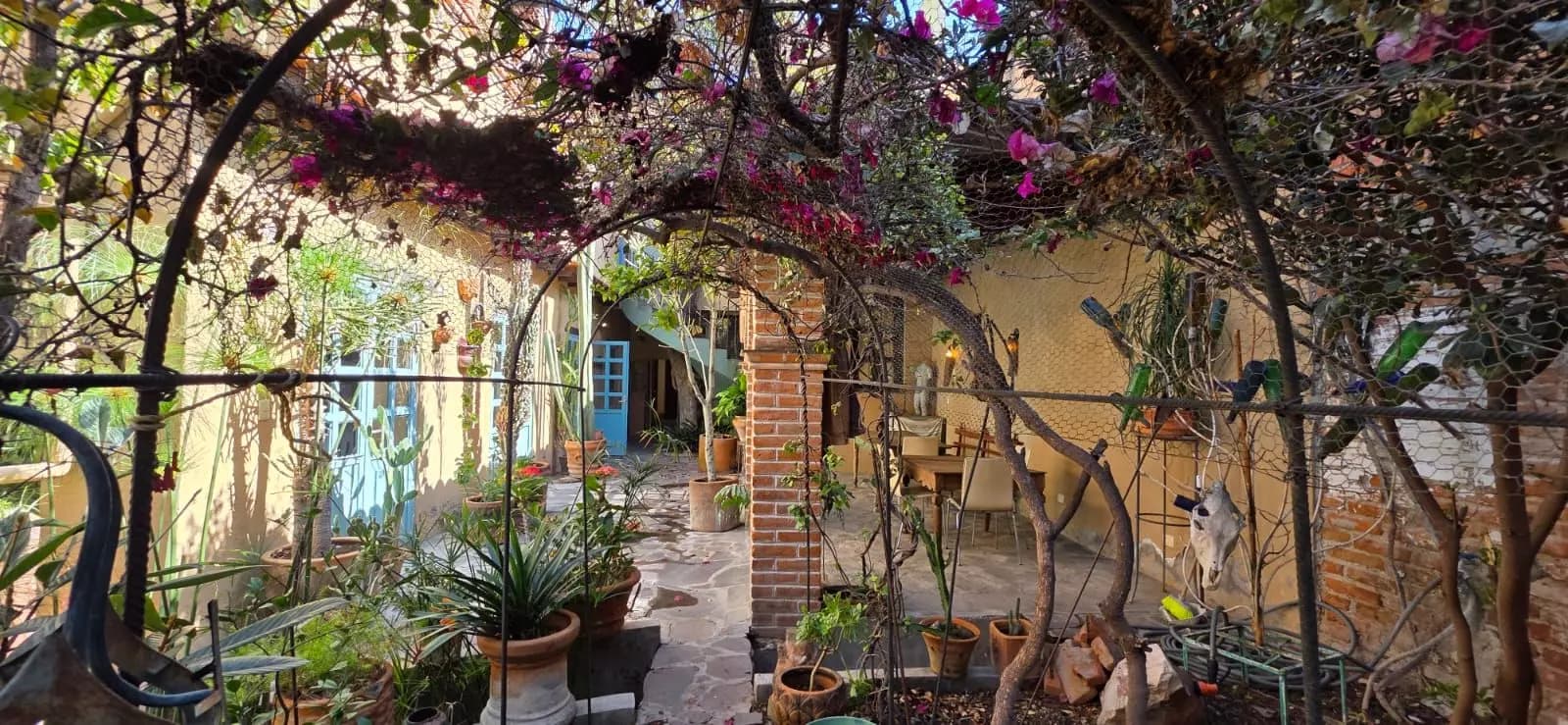Casa Farolito — Guadalupe, San Miguel de Allende — photo 15 — enchanting pergola courtyard oasis