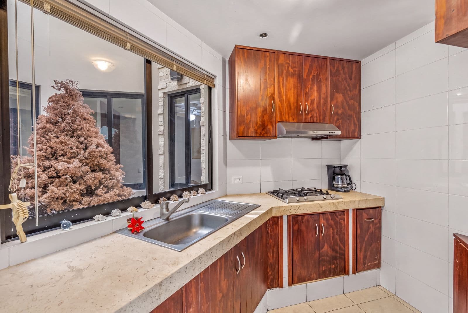 Casa Gorrion — Las Brisas, San Miguel de Allende — photo 15 — elegant kitchen with snowy garden views