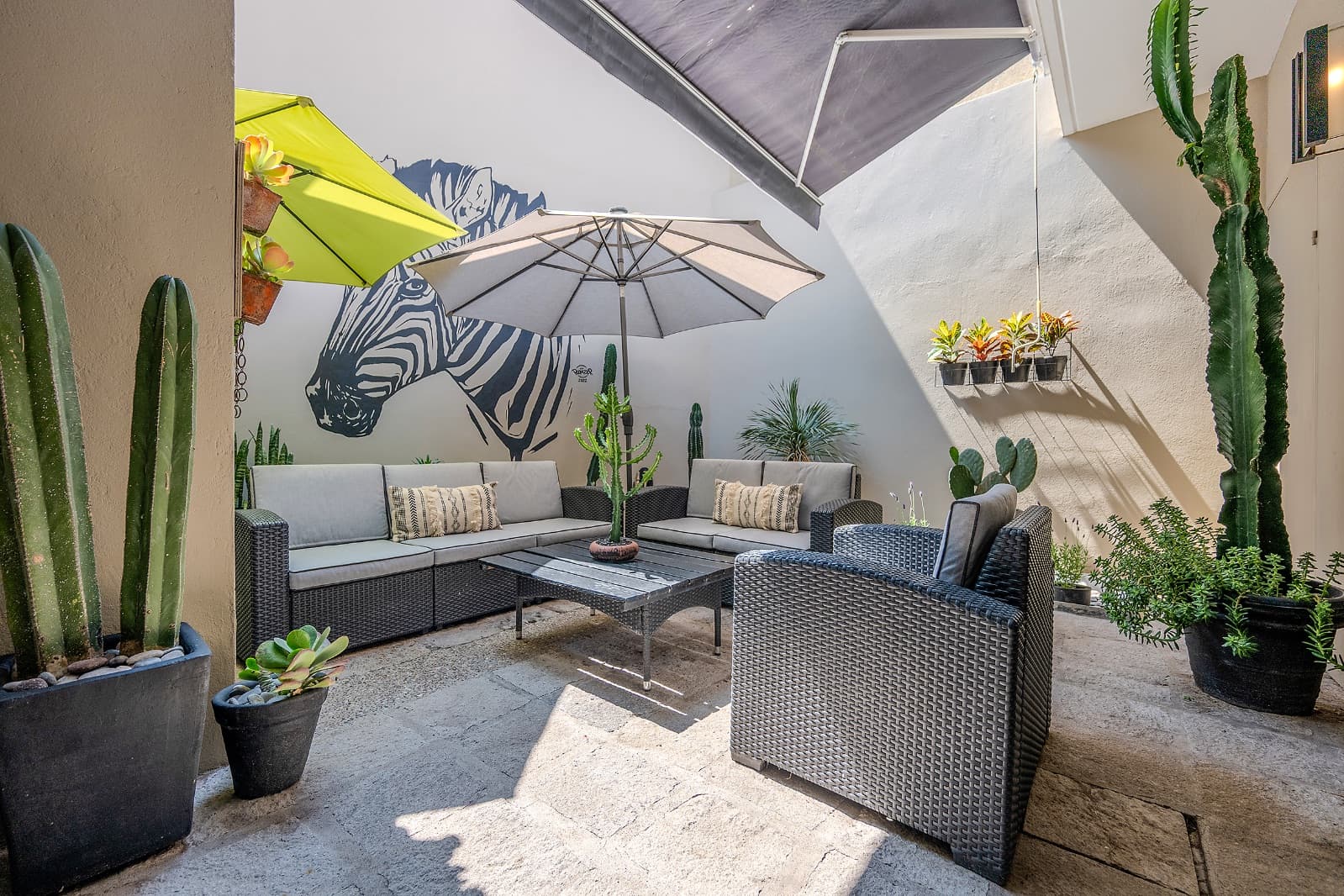 Modern Ground-Level Condo Near Centro — San Antonio, San Miguel de Allende — photo 3 — sophisticated courtyard oasis with sculptural art