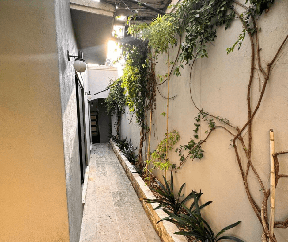 Villa San Gamaliel — El Paraiso, San Miguel de Allende — photo 8 — verdant courtyard with atmospheric lighting