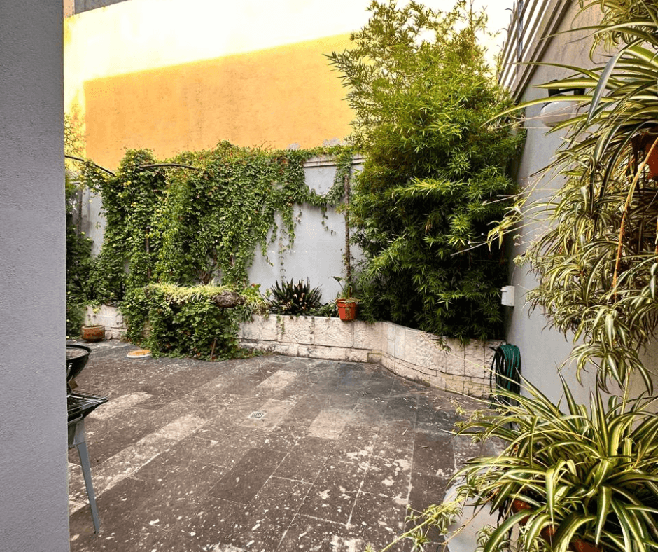 Villa San Gamaliel — El Paraiso, San Miguel de Allende — photo 7 — lush courtyard oasis, sun-drenched walls