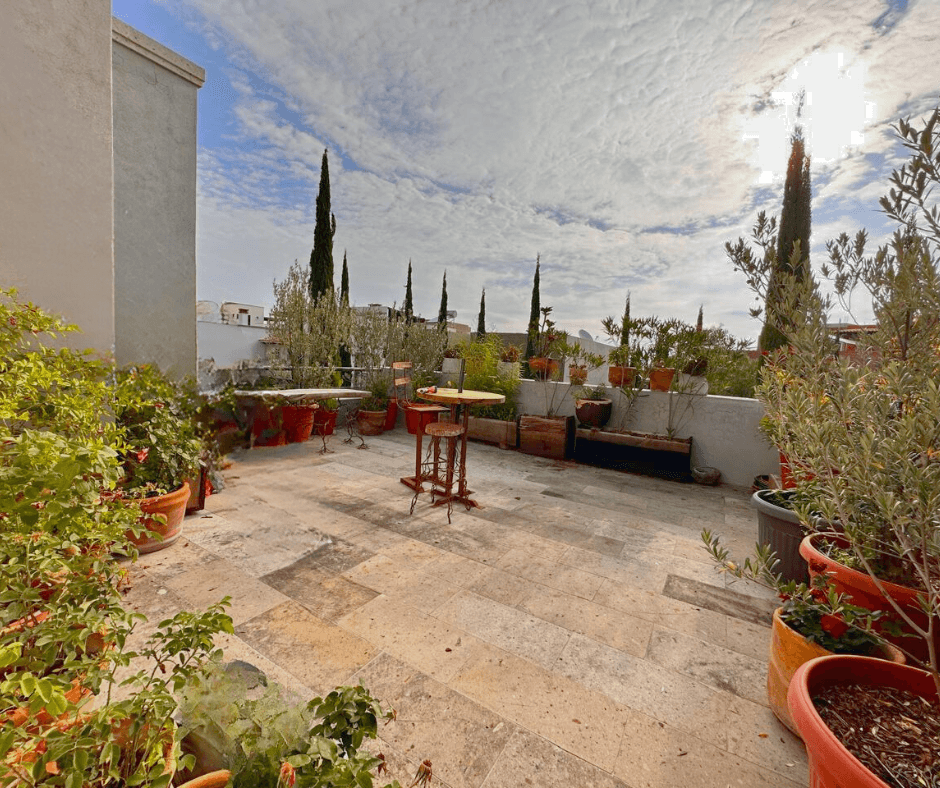 Villa San Gamaliel — El Paraiso, San Miguel de Allende — photo 16 — expansive rooftop garden with mountain views