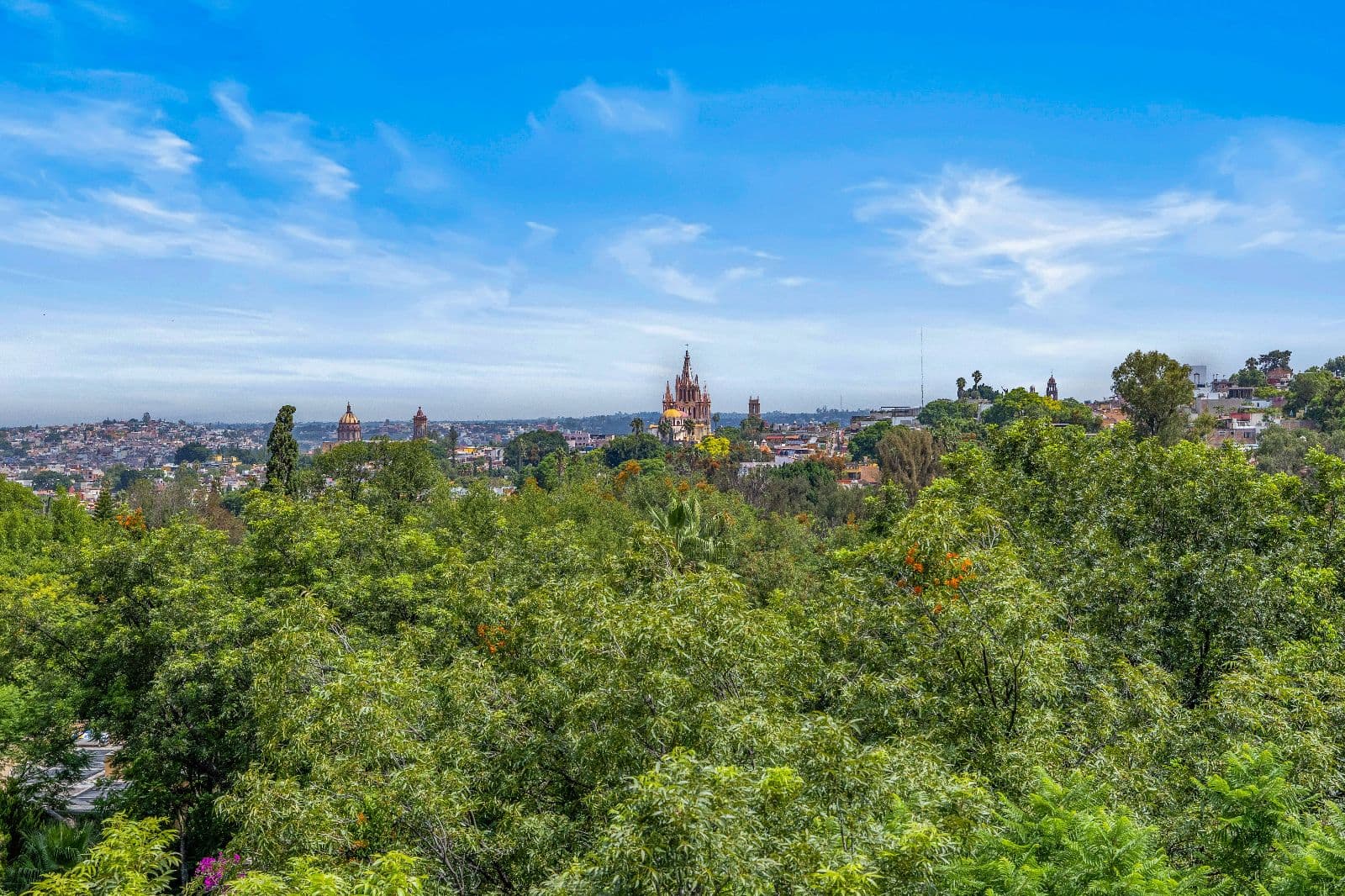 Privada Baeza — Centro, San Miguel de Allende — photo 23 — panoramic vista overlooking iconic cathedral spires