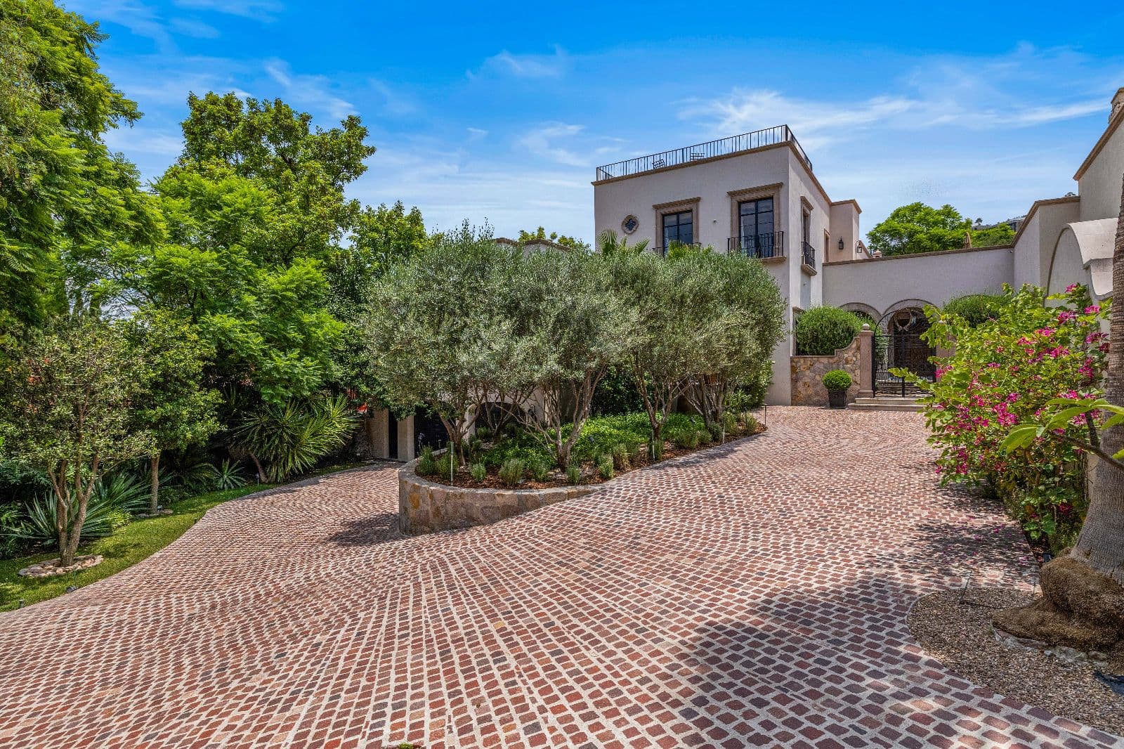 Privada Baeza — Centro, San Miguel de Allende — photo 2 — elegant courtyard, mature olive trees, mediterranean charm