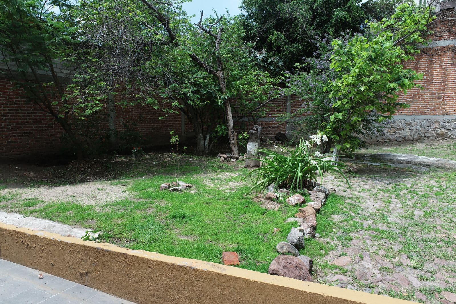 Terreno Privada San Juan — San Antonio, San Miguel de Allende — photo 2 — mature garden with charming architectural bones