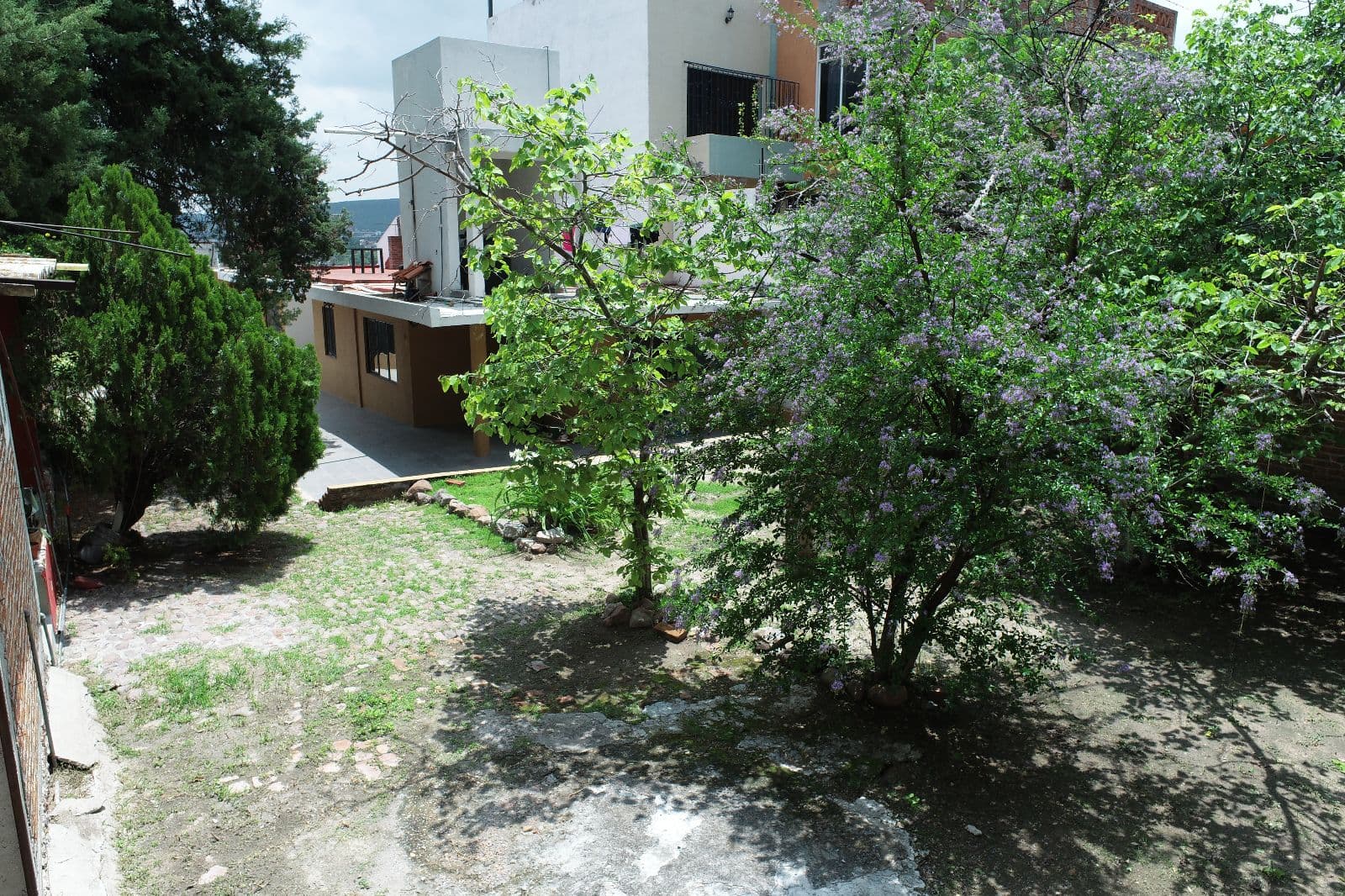 Terreno Privada San Juan — San Antonio, San Miguel de Allende — photo 4 — lush garden oasis, mature flowering trees