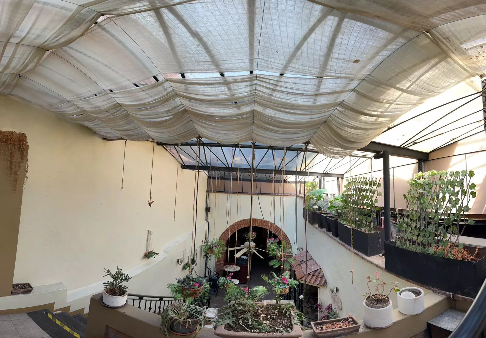 Macias 66 — San Miguel de Allende Centro, San Miguel de Allende — photo 4 — serene courtyard with soaring architectural charm