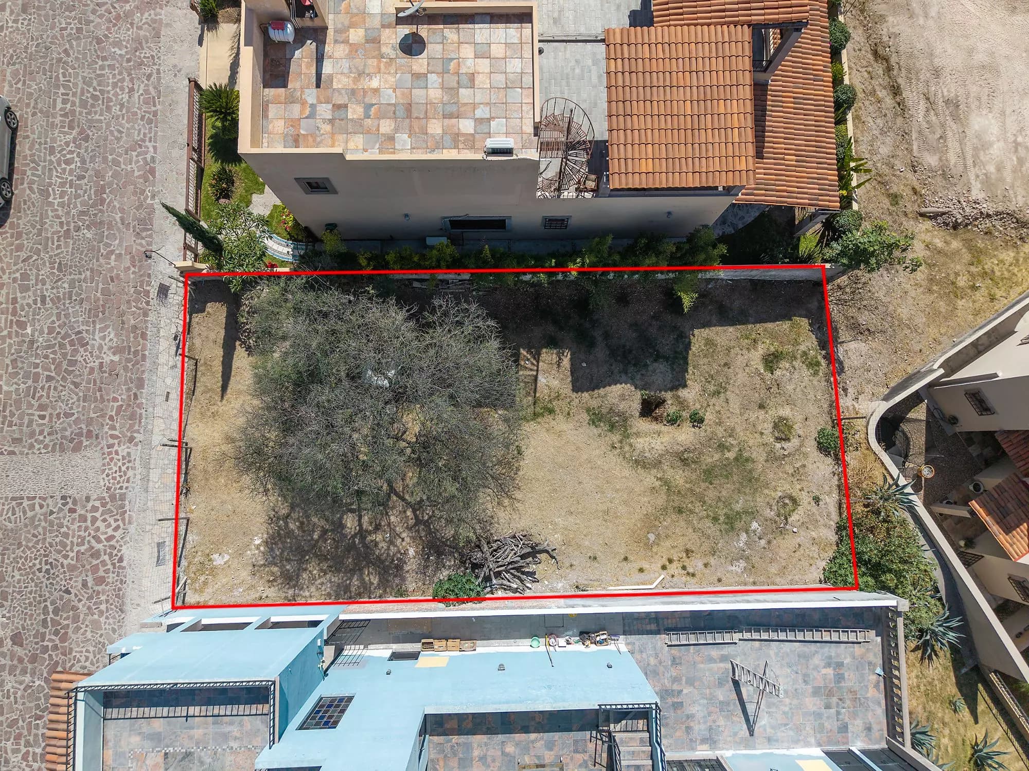 LOT ORIENTE — El Capricho, San Miguel de Allende — photo 8 — spacious lot, mature olive trees, development potential