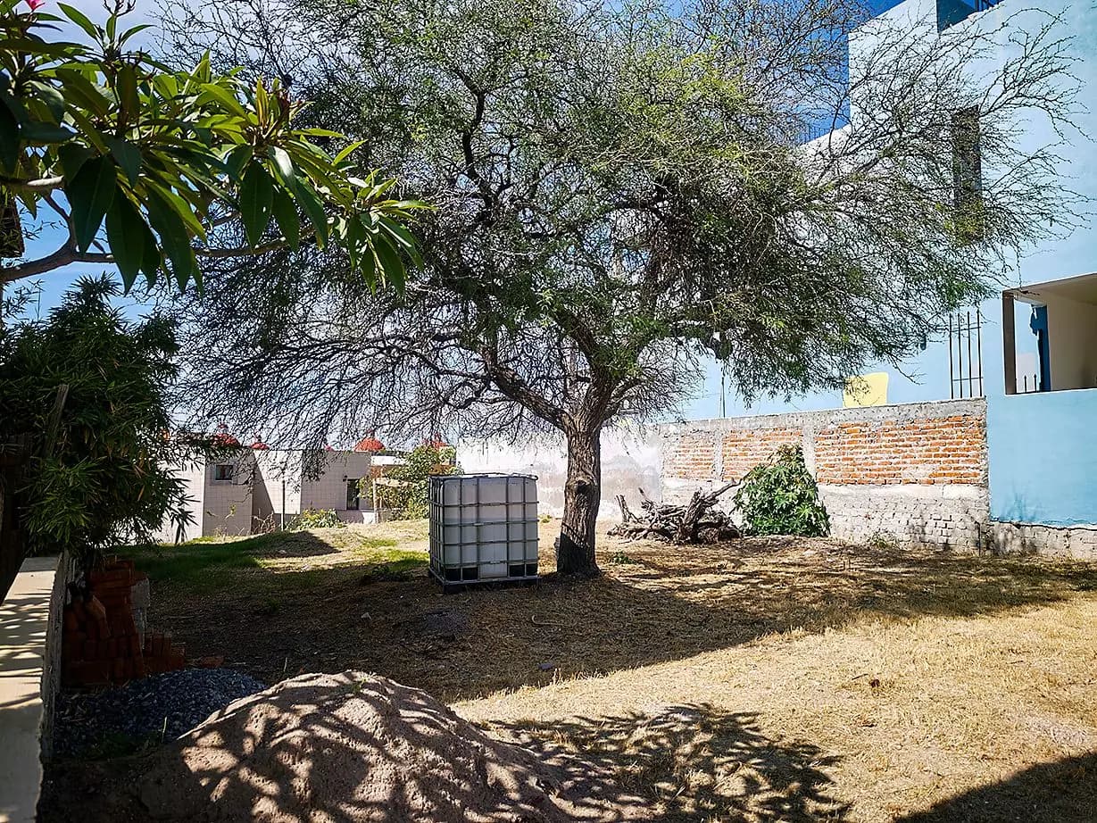 LOT ORIENTE — El Capricho, San Miguel de Allende — photo 2 — rustic courtyard with mature shade trees