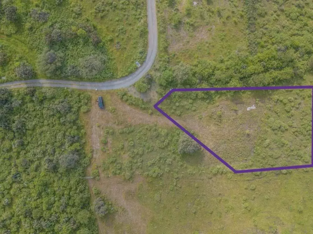 1970 Lot For Sale, El Toreador — Camino a Dr Mora, San Miguel de Allende — photo 2 — expansive verdant land awaiting vision