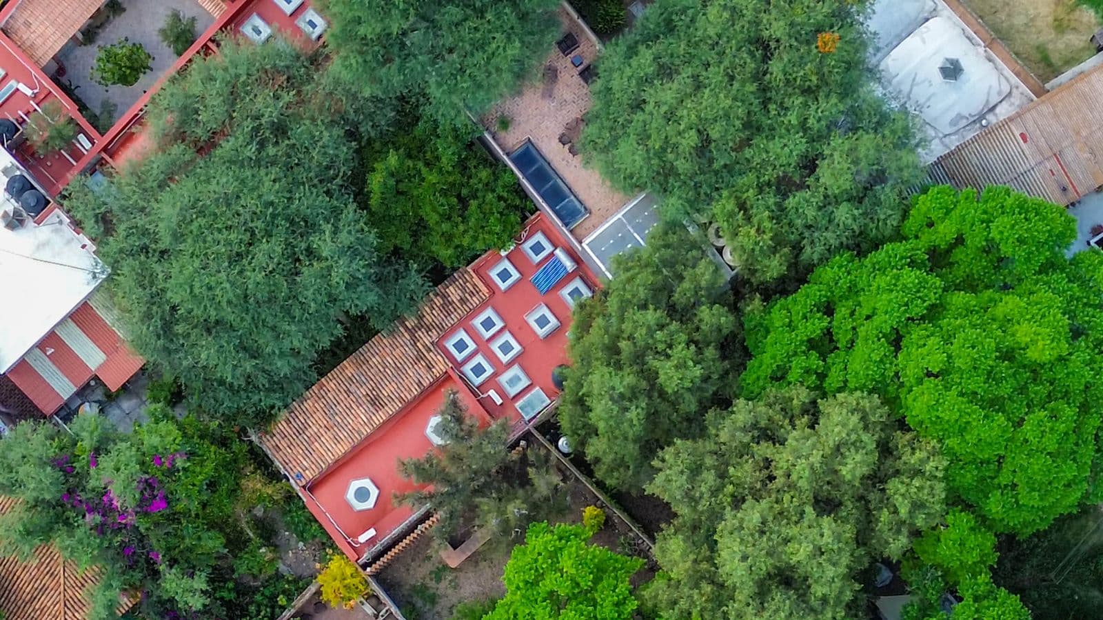 TERRENO HIDALGO — Centro, San Miguel de Allende — photo 9 — verdant sanctuary with terracotta charm