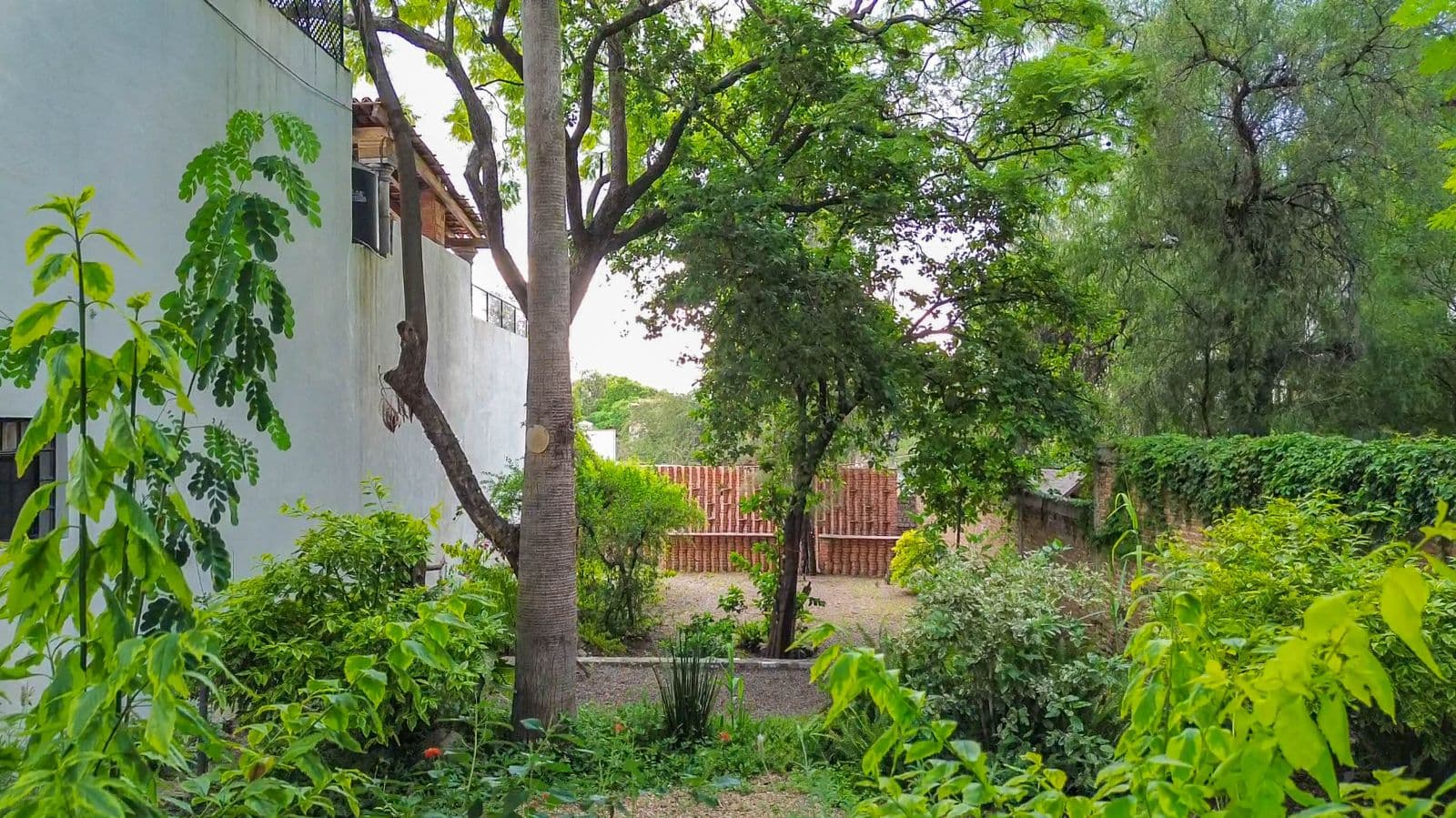TERRENO HIDALGO — Centro, San Miguel de Allende — photo 3 — mature gardens, serene tree-shaded courtyard